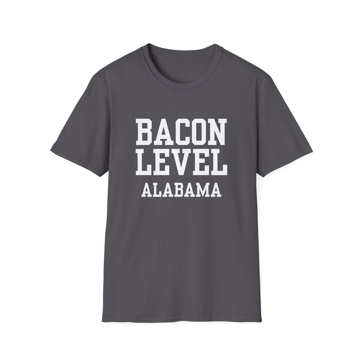 Bacon Level Funny City Name T-Shirt travel gift tee custom city tee novelty t-shirt silly town tee hometown humor gag gift tee sarcastic shirt