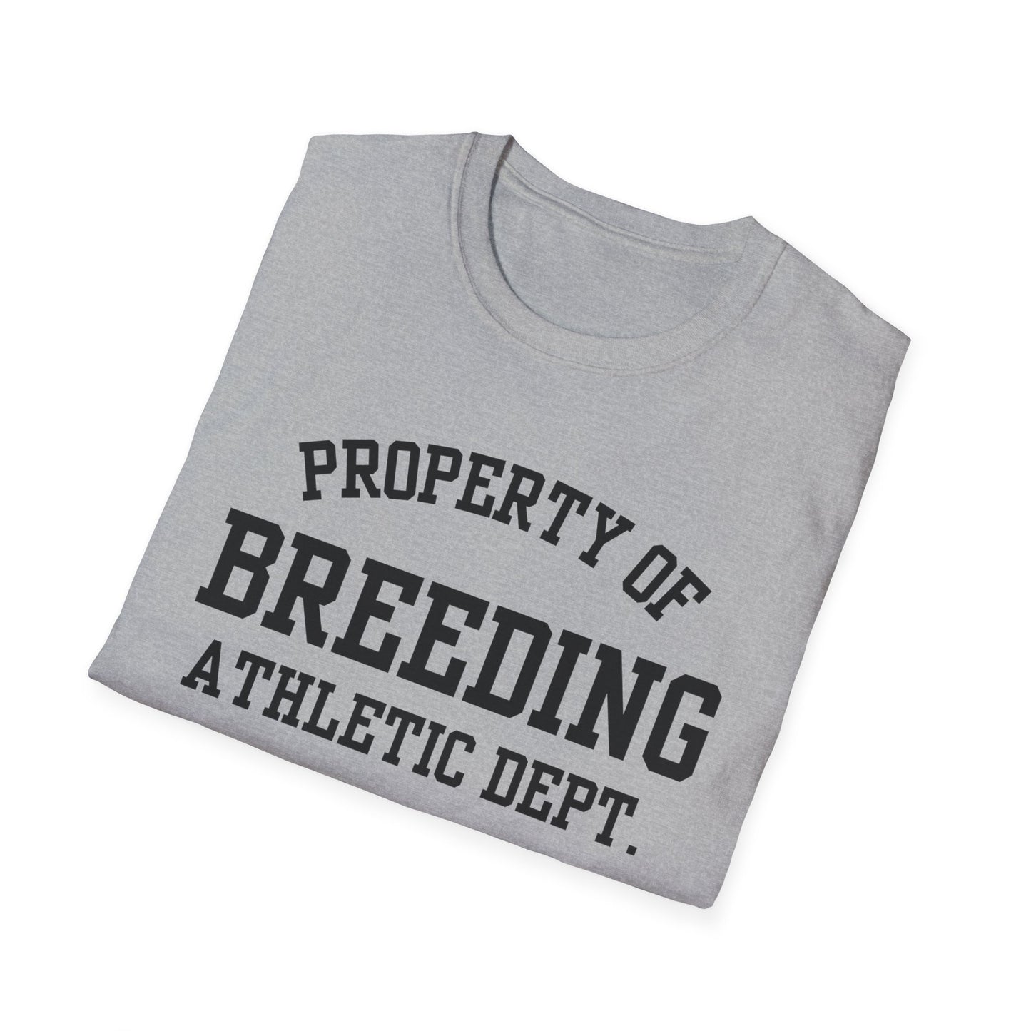 Breeding Funny City Name T-Shirt novelty t-shirt for adults gift for travelers road trip souvenir shirt funny city name shirt hometown pride shirt