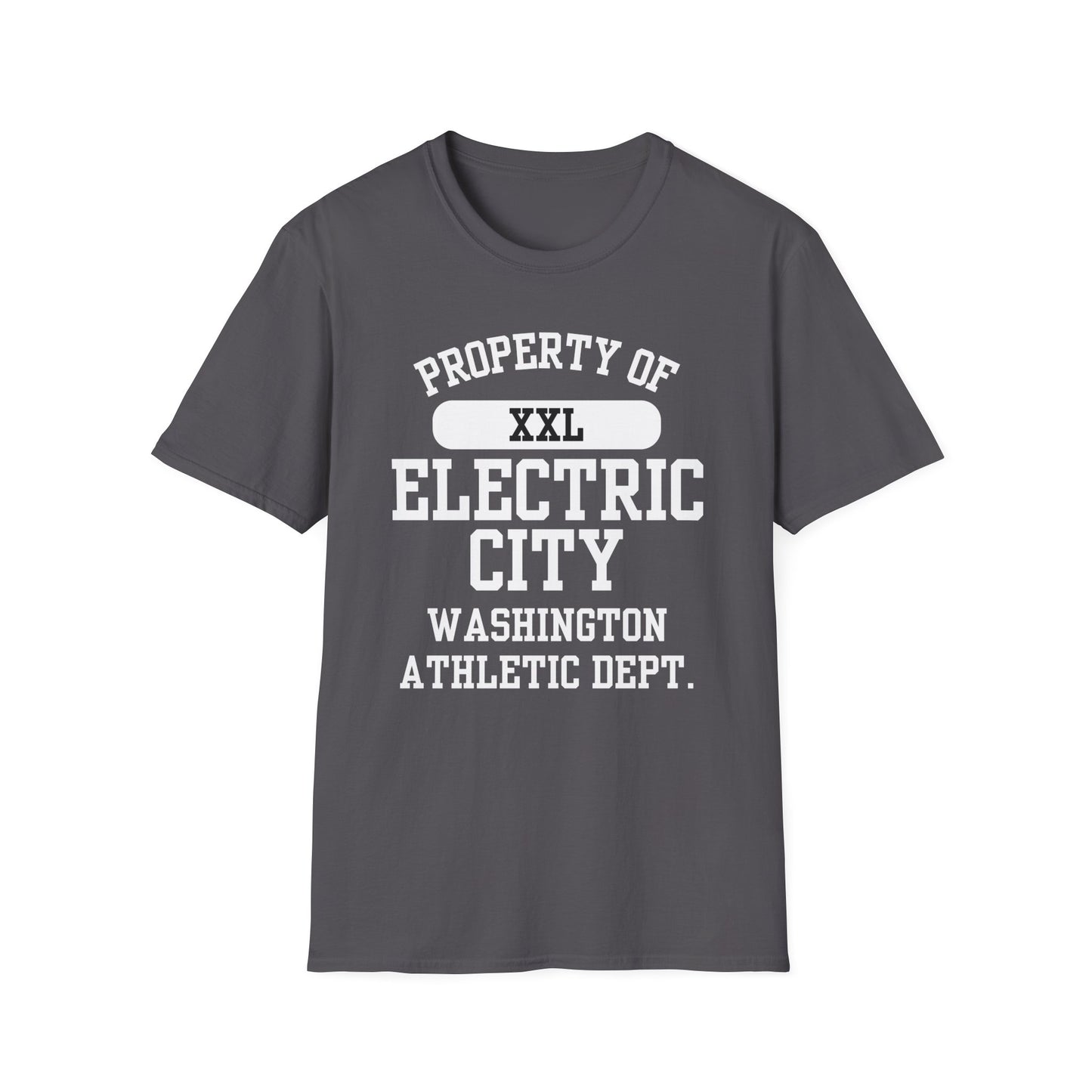 Electric City Funny City Name T-Shirt weird town shirt funny city name local pride tee hometown humor travel gift tee gag gift tee