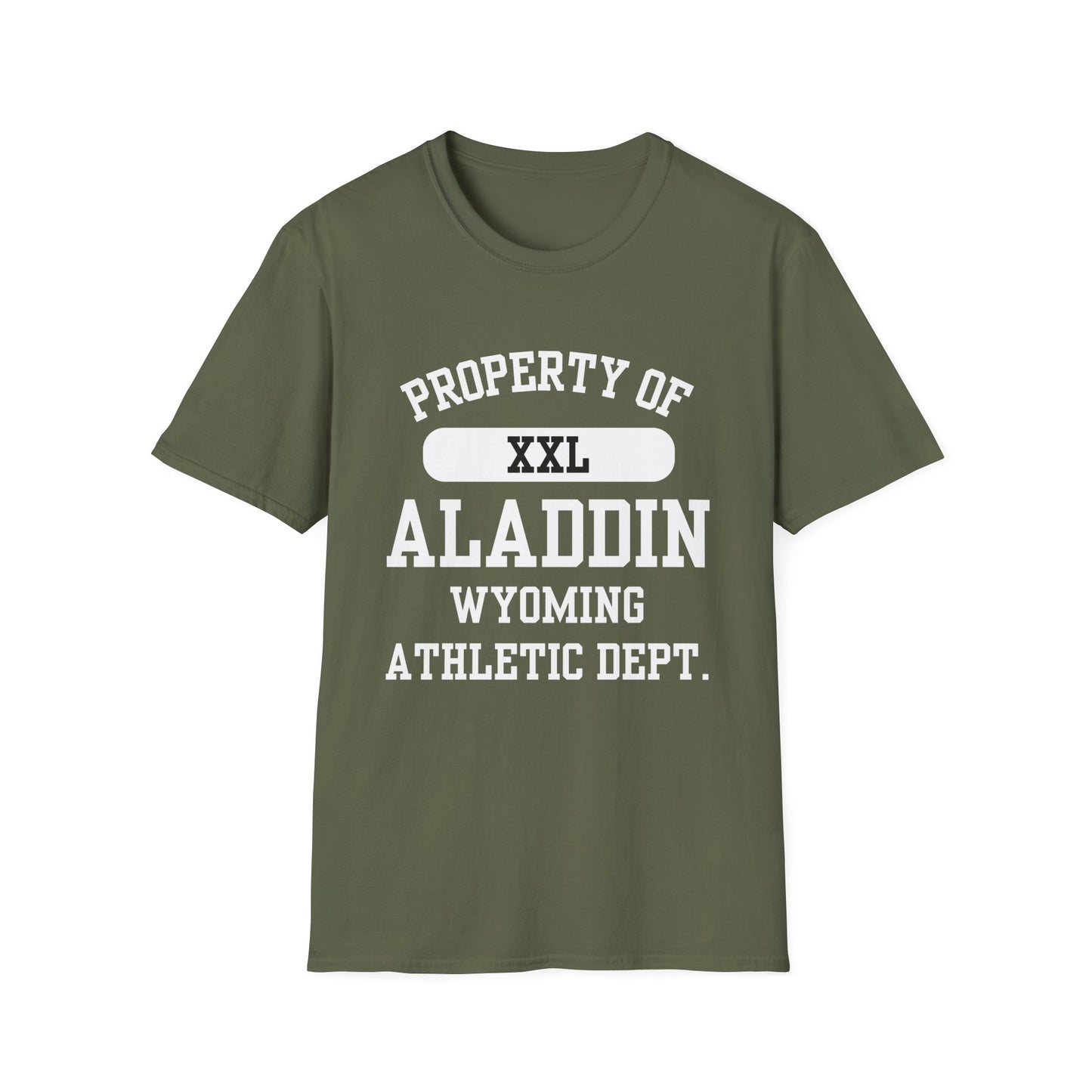 Aladdin Funny City Name T-Shirt ironic tee silly town tee quirky place tee sarcastic shirt travel gift tee funny city name custom city tee