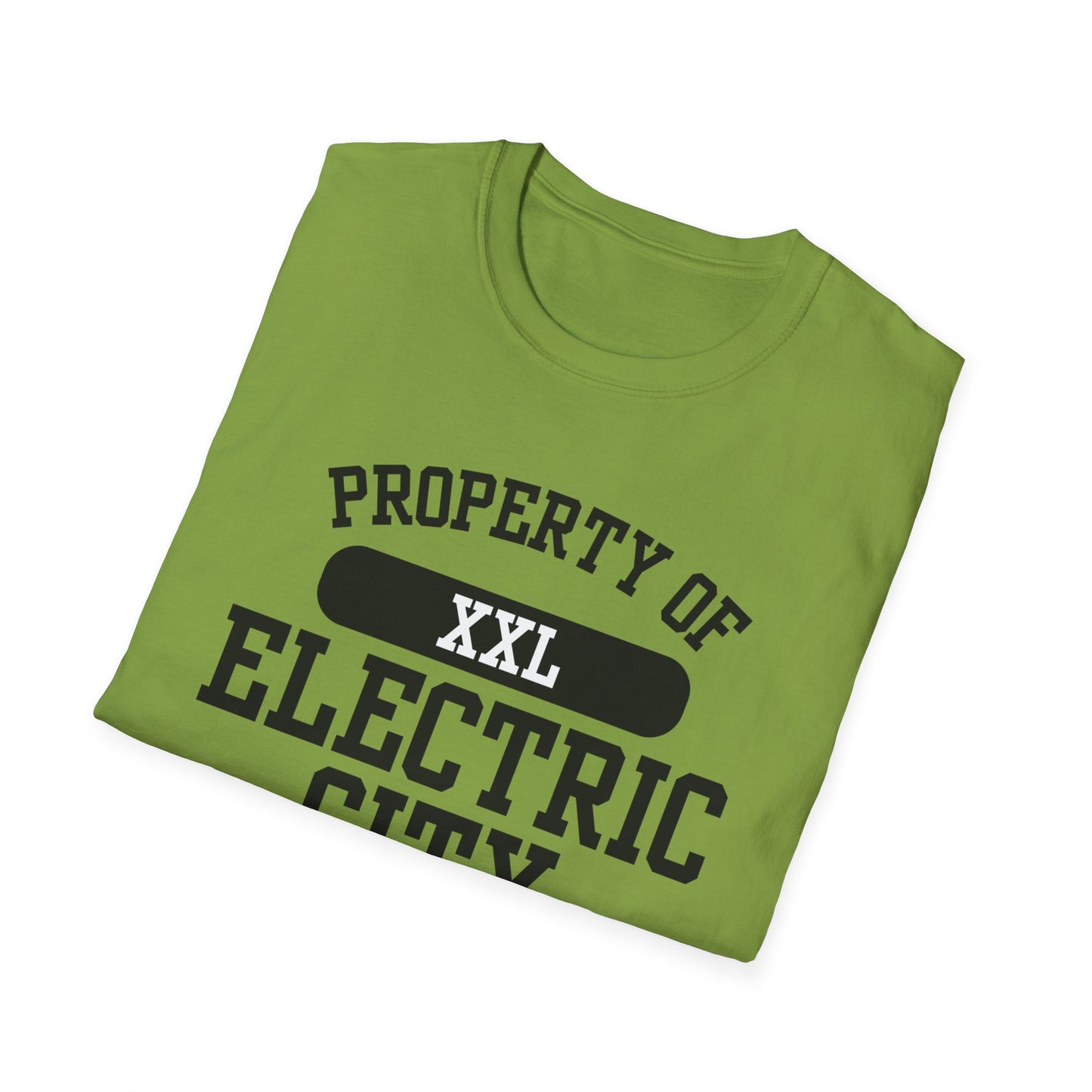Electric City Funny City Name T-Shirt unisex funny shirt road trip souvenir shirt custom city t-shirt quirky town shirt sarcastic graphic tee