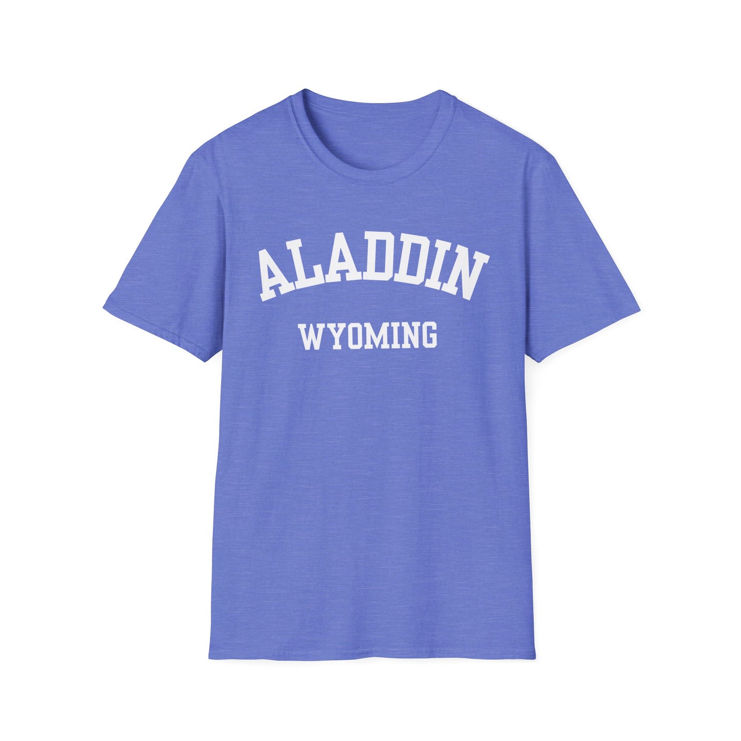 Aladdin Funny City Name T-Shirt weird town shirt silly town tee quirky place tee custom city tee sarcastic shirt travel gift tee