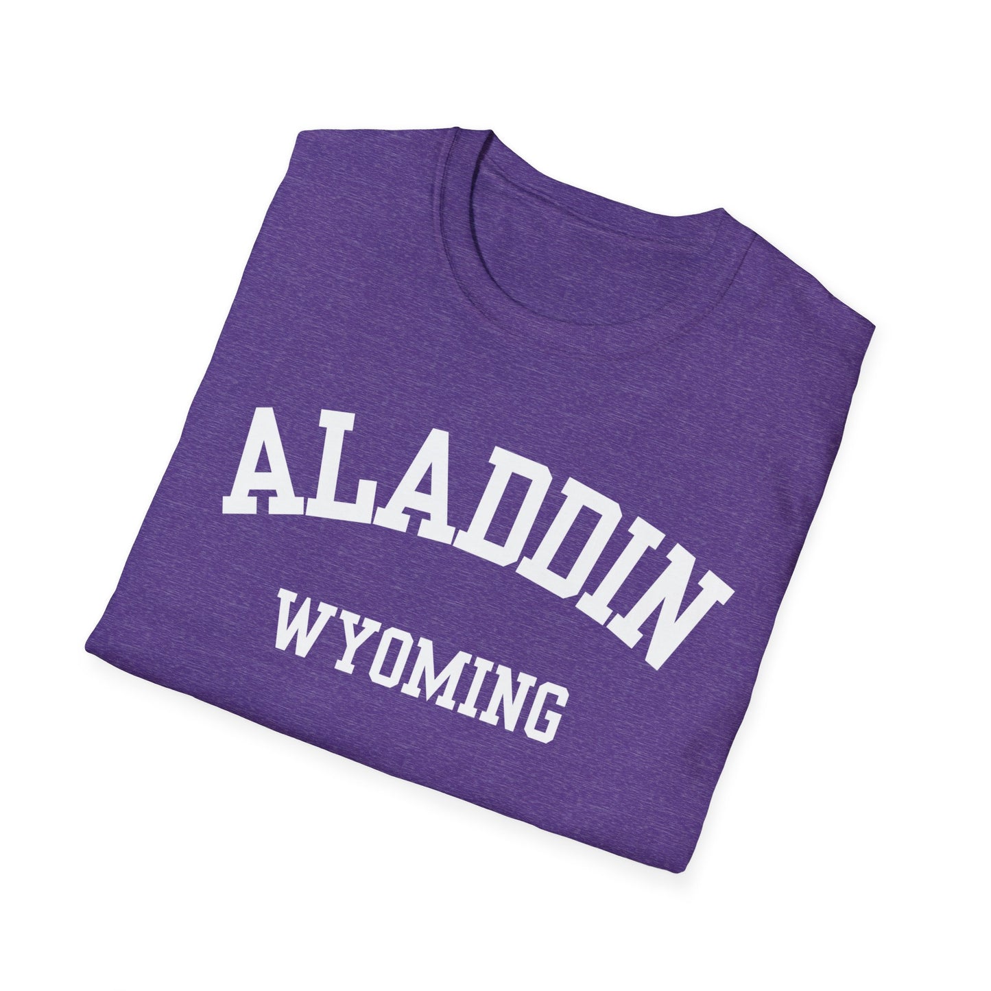 Aladdin Funny City Name T-Shirt weird town shirt silly town tee quirky place tee custom city tee sarcastic shirt travel gift tee