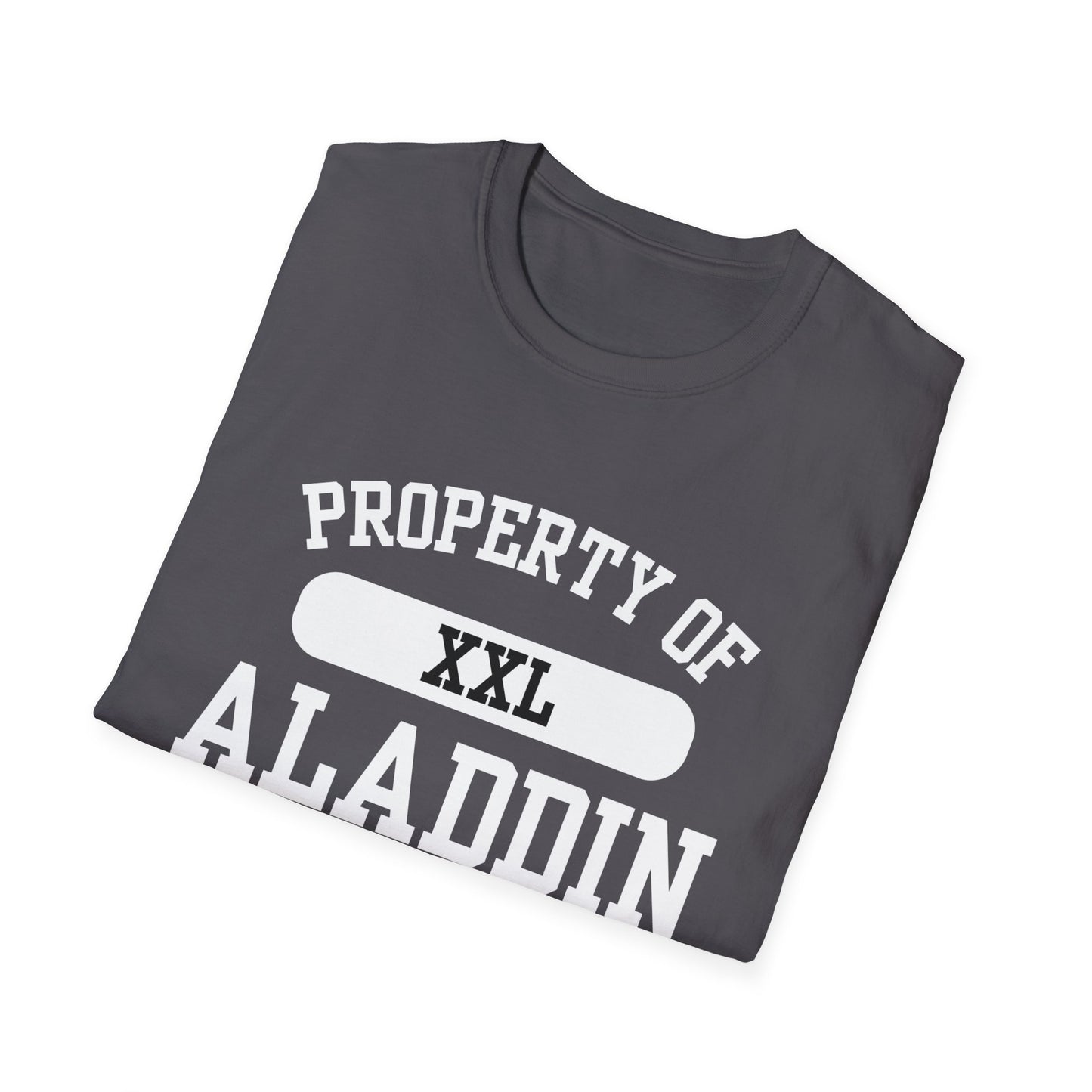 Aladdin Funny City Name T-Shirt ironic tee silly town tee quirky place tee sarcastic shirt travel gift tee funny city name custom city tee