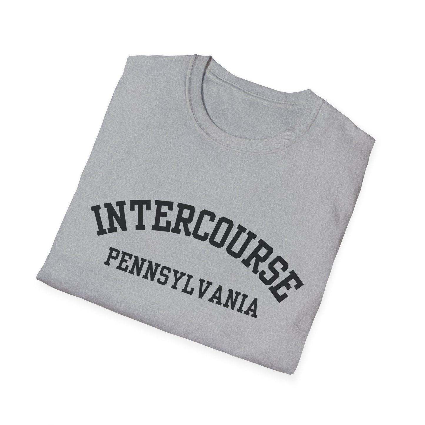 Intercourse Funny City Name T-Shirt novelty t-shirt for adults gift for travelers quirky town shirt funny city name shirt hometown pride shirt