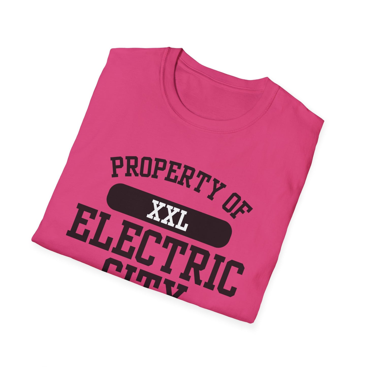 Electric City Funny City Name T-Shirt unisex funny shirt road trip souvenir shirt custom city t-shirt quirky town shirt sarcastic graphic tee