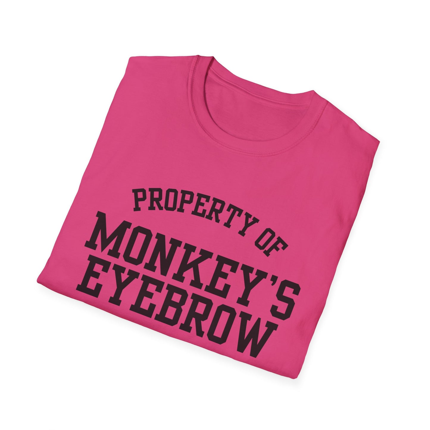 Monkey's Eyebrow Funny City Name T-Shirt sarcastic graphic tee hometown pride shirt retro city name shirt funny city name shirt gift for travelers