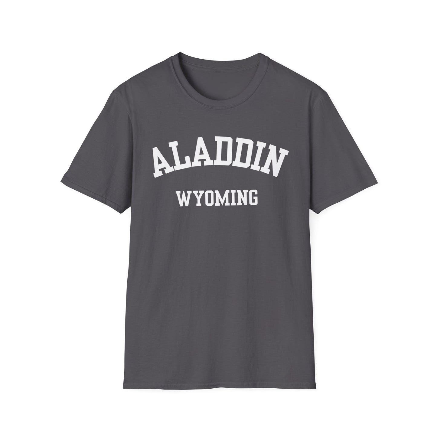 Aladdin Funny City Name T-Shirt weird town shirt silly town tee quirky place tee custom city tee sarcastic shirt travel gift tee
