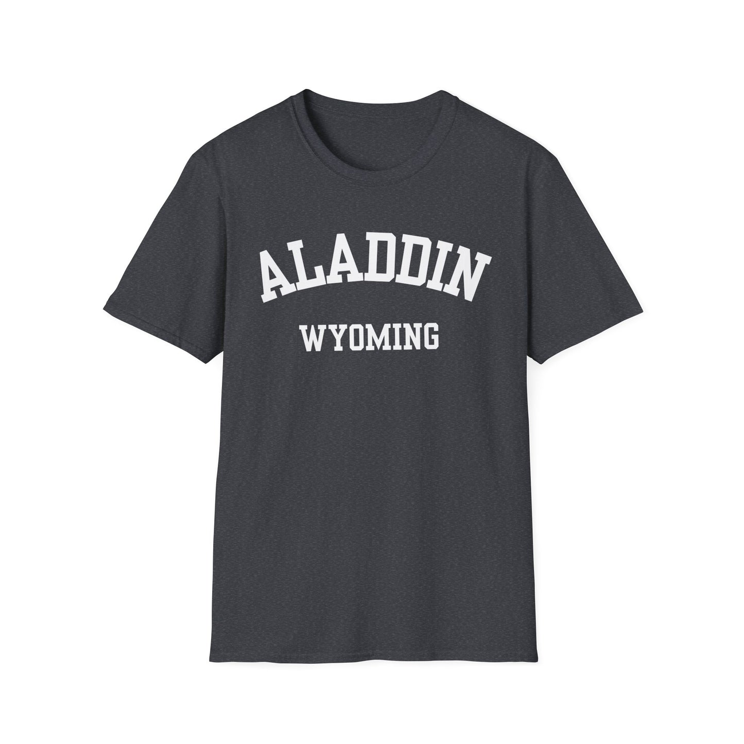 Aladdin Funny City Name T-Shirt weird town shirt silly town tee quirky place tee custom city tee sarcastic shirt travel gift tee