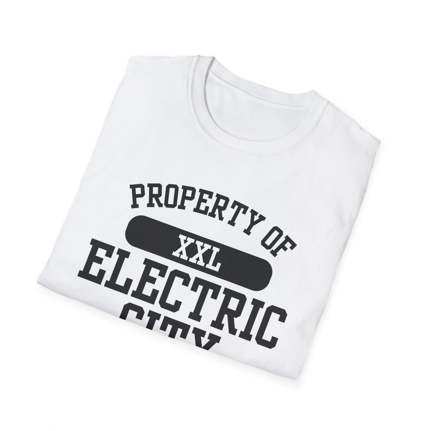 Electric City Funny City Name T-Shirt unisex funny shirt road trip souvenir shirt custom city t-shirt quirky town shirt sarcastic graphic tee