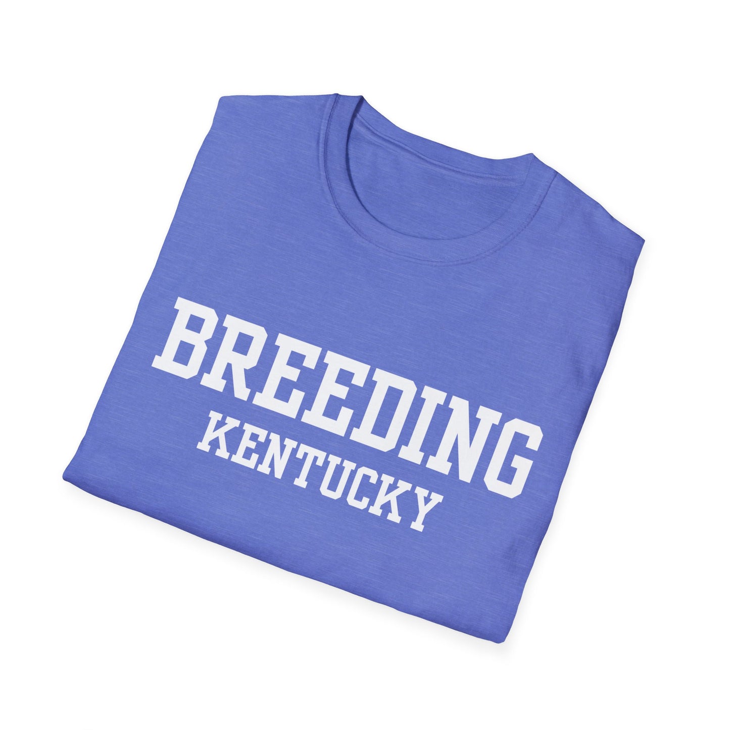 Breeding Funny City Name T-Shirt travel gift tee weird town shirt sarcastic shirt small town gift funny city name silly town tee