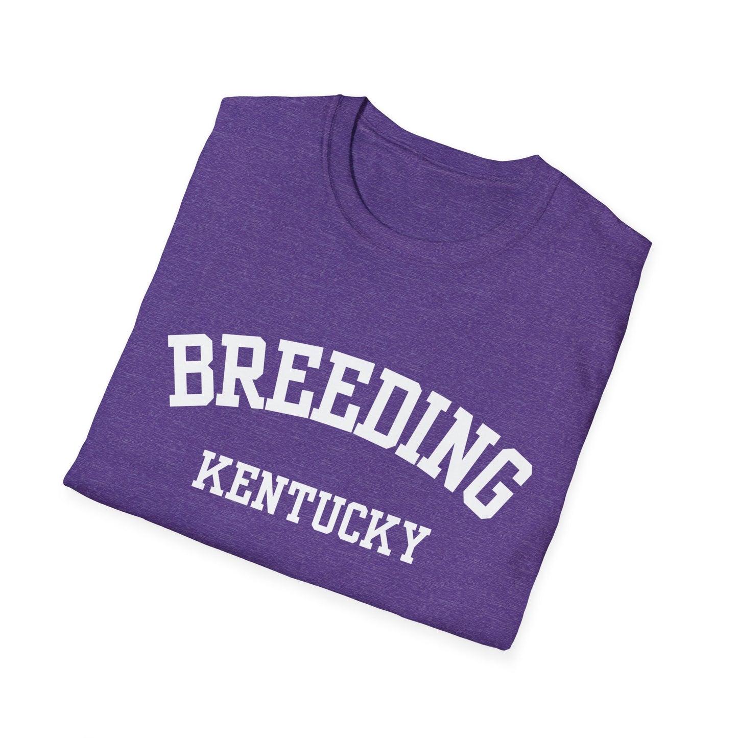 Breeding Funny City Name T-Shirt small town gift silly town tee travel gift tee gag gift tee sarcastic shirt ironic tee hometown humor