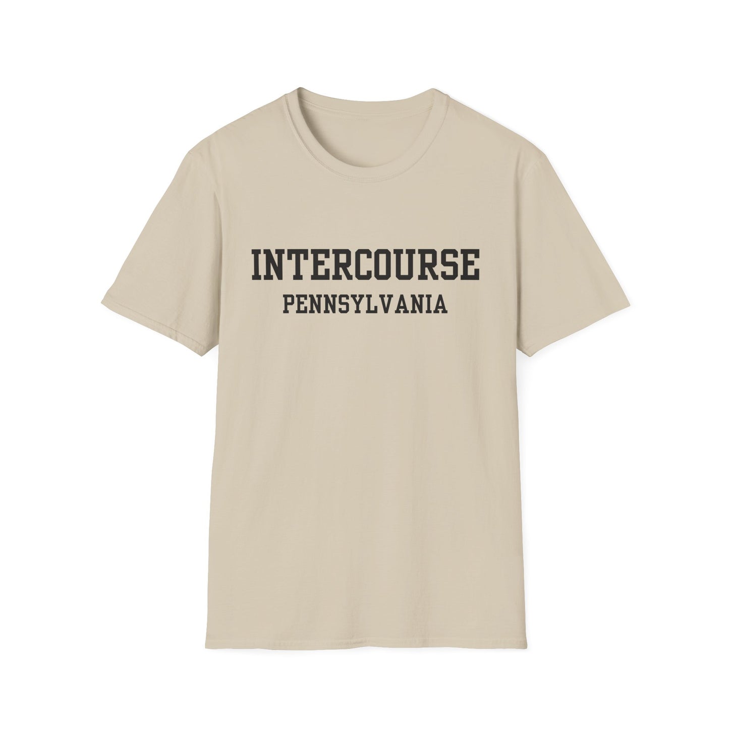 Intercourse Funny City Name T-Shirt gift for travelers unisex funny shirt hometown pride shirt retro city name shirt sarcastic graphic tee