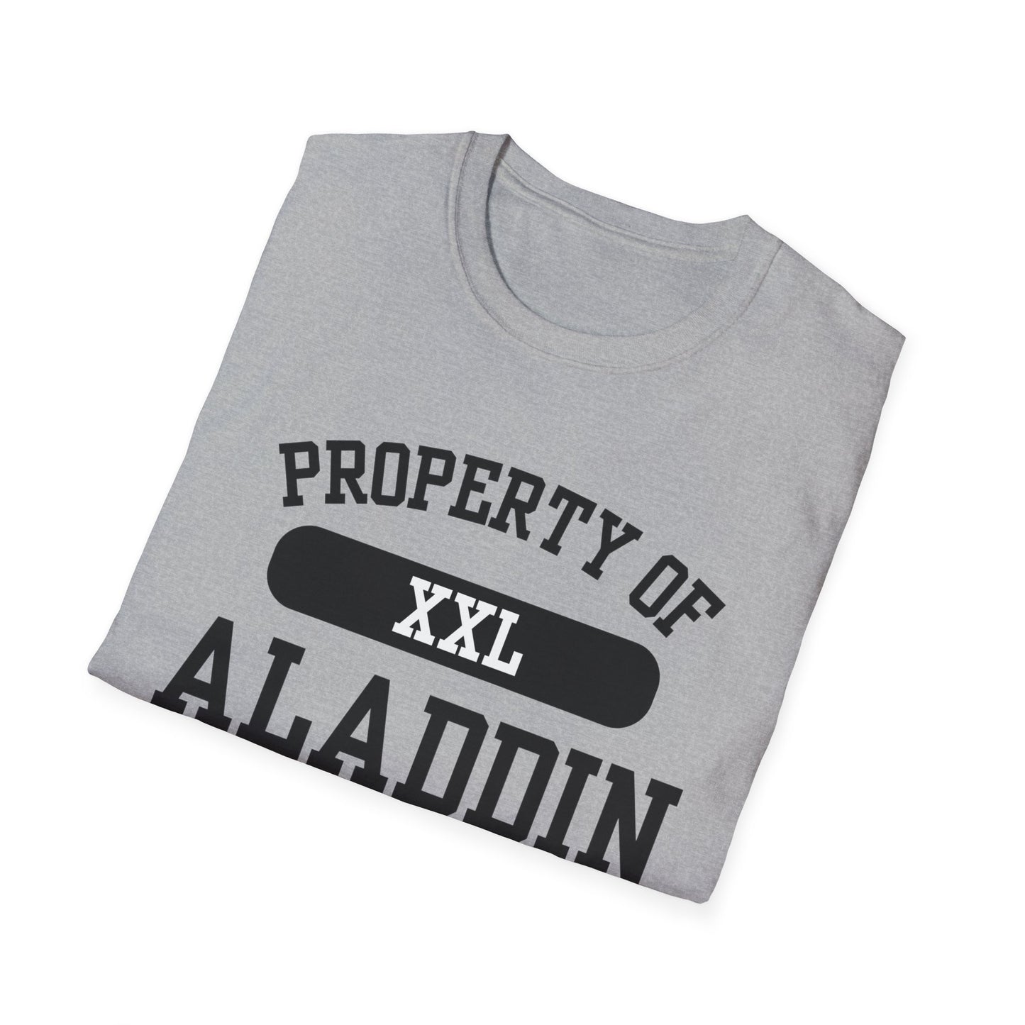 Aladdin Funny City Name T-Shirt retro city name shirt custom city t-shirt funny city name shirt sarcastic graphic tee unisex funny shirt