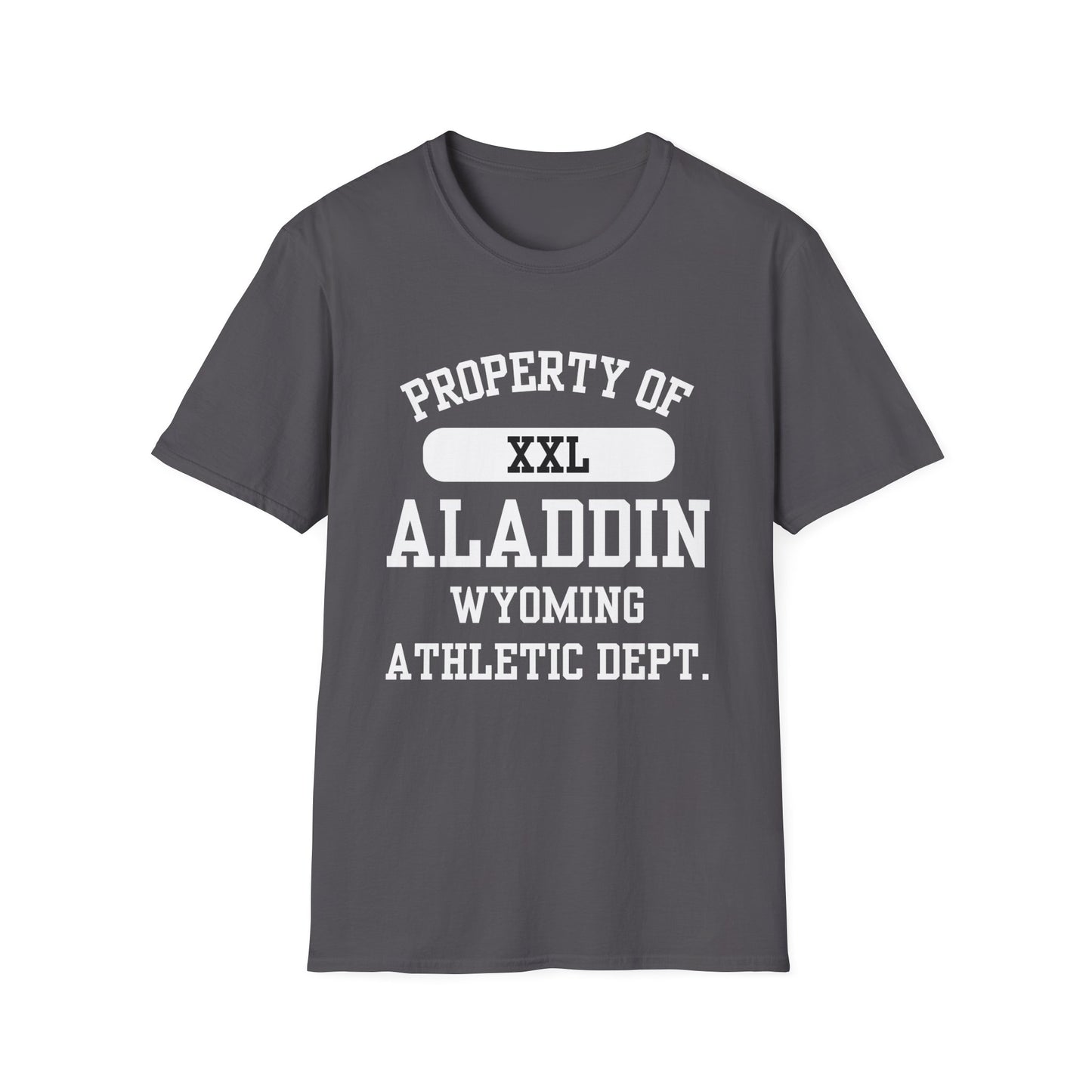 Aladdin Funny City Name T-Shirt ironic tee silly town tee quirky place tee sarcastic shirt travel gift tee funny city name custom city tee