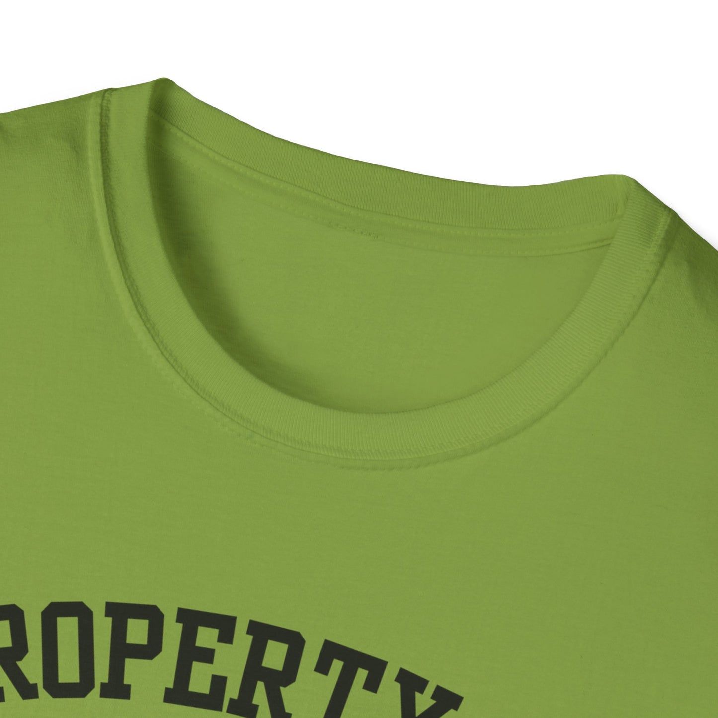 Dull Funny City Name T-Shirt novelty t-shirt sarcastic shirt local pride tee small town gift ironic tee hometown humor quirky place tee
