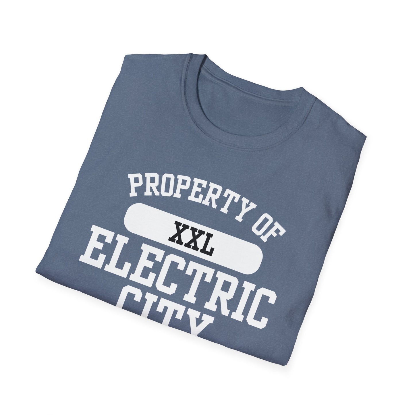 Electric City Funny City Name T-Shirt weird town shirt funny city name local pride tee hometown humor travel gift tee gag gift tee