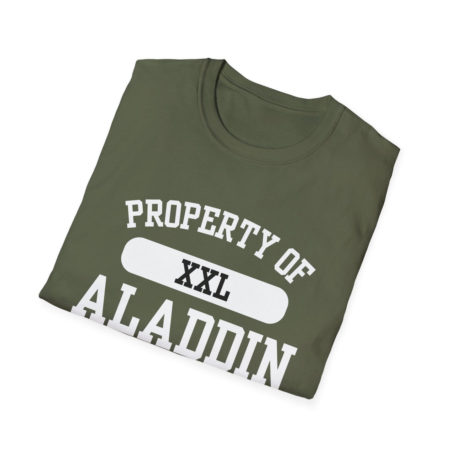 Aladdin Funny City Name T-Shirt ironic tee silly town tee quirky place tee sarcastic shirt travel gift tee funny city name custom city tee
