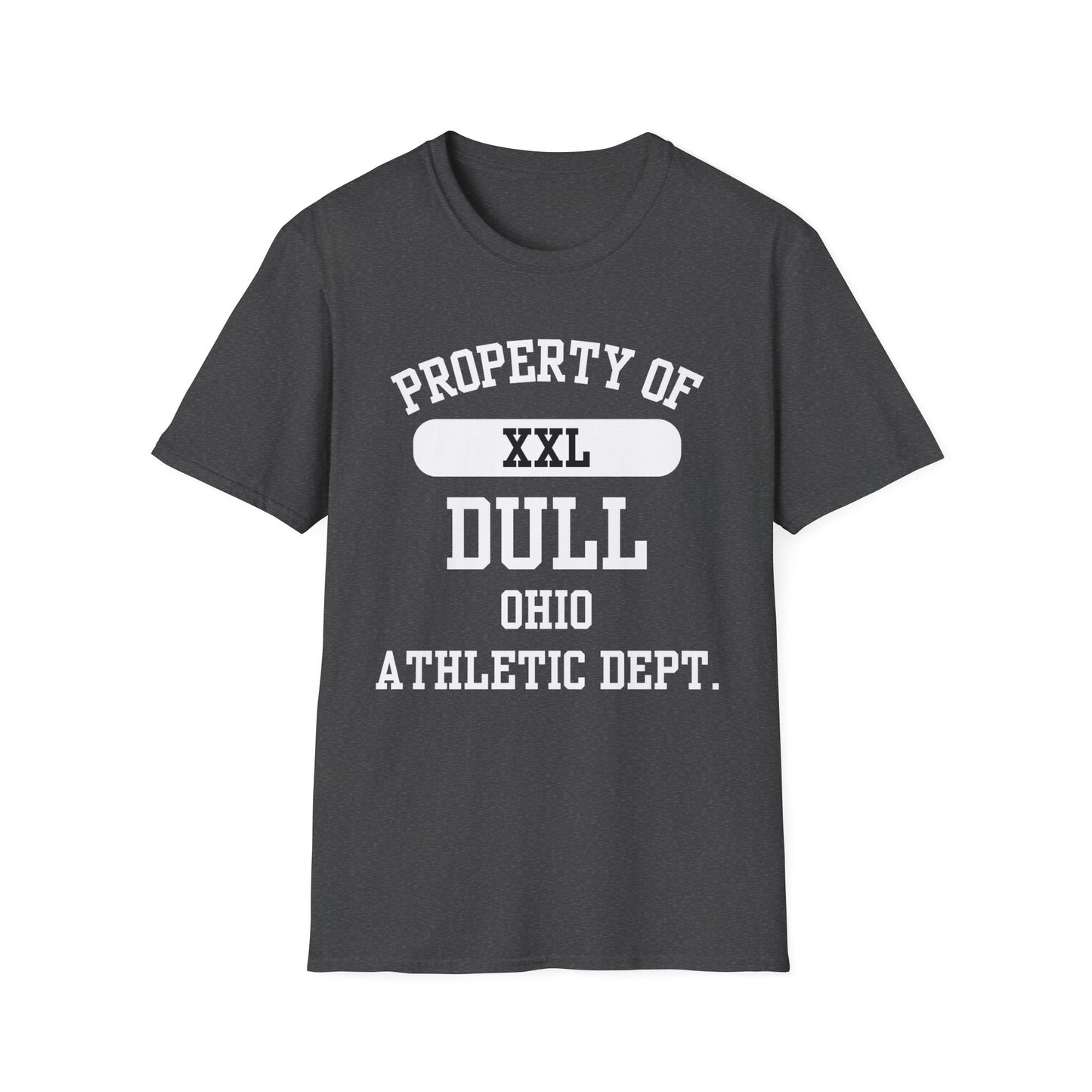 Dull Funny City Name T-Shirt ironic tee novelty t-shirt gag gift tee hometown humor silly town tee small town gift weird town shirt