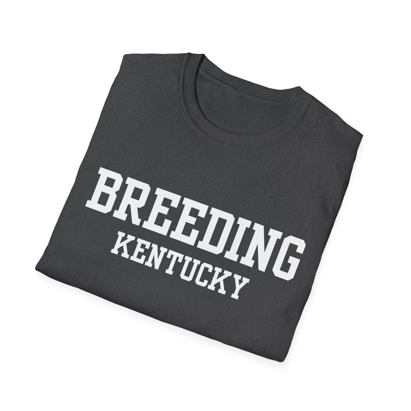 Breeding Funny City Name T-Shirt travel gift tee weird town shirt sarcastic shirt small town gift funny city name silly town tee