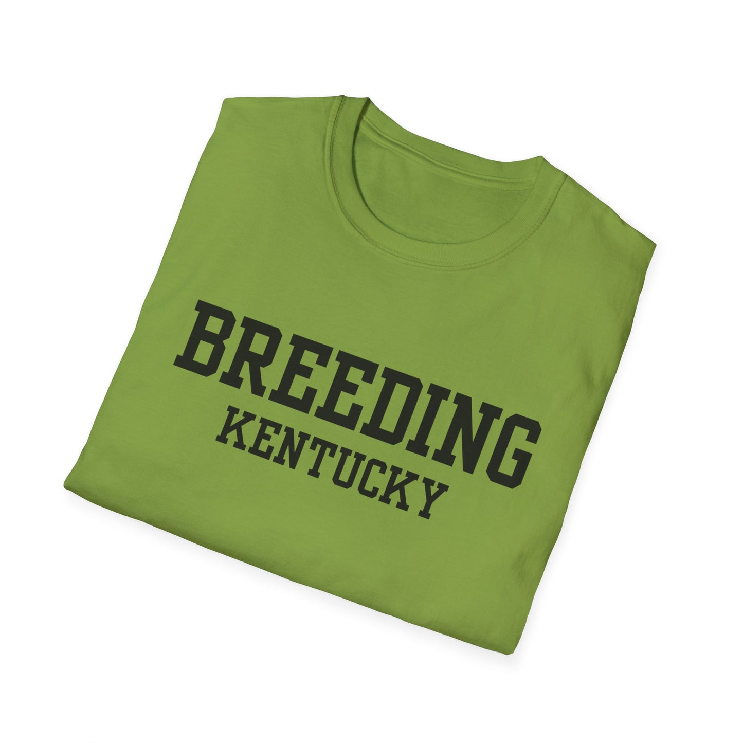 Breeding Funny City Name T-Shirt novelty t-shirt small town gift weird town shirt funny city name travel gift tee ironic tee