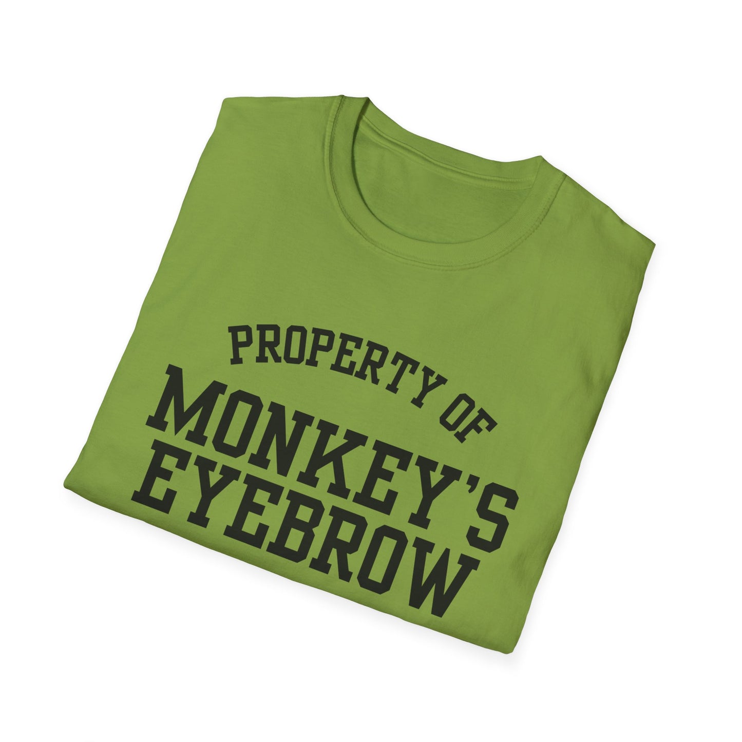 Monkey's Eyebrow Funny City Name T-Shirt sarcastic graphic tee hometown pride shirt retro city name shirt funny city name shirt gift for travelers