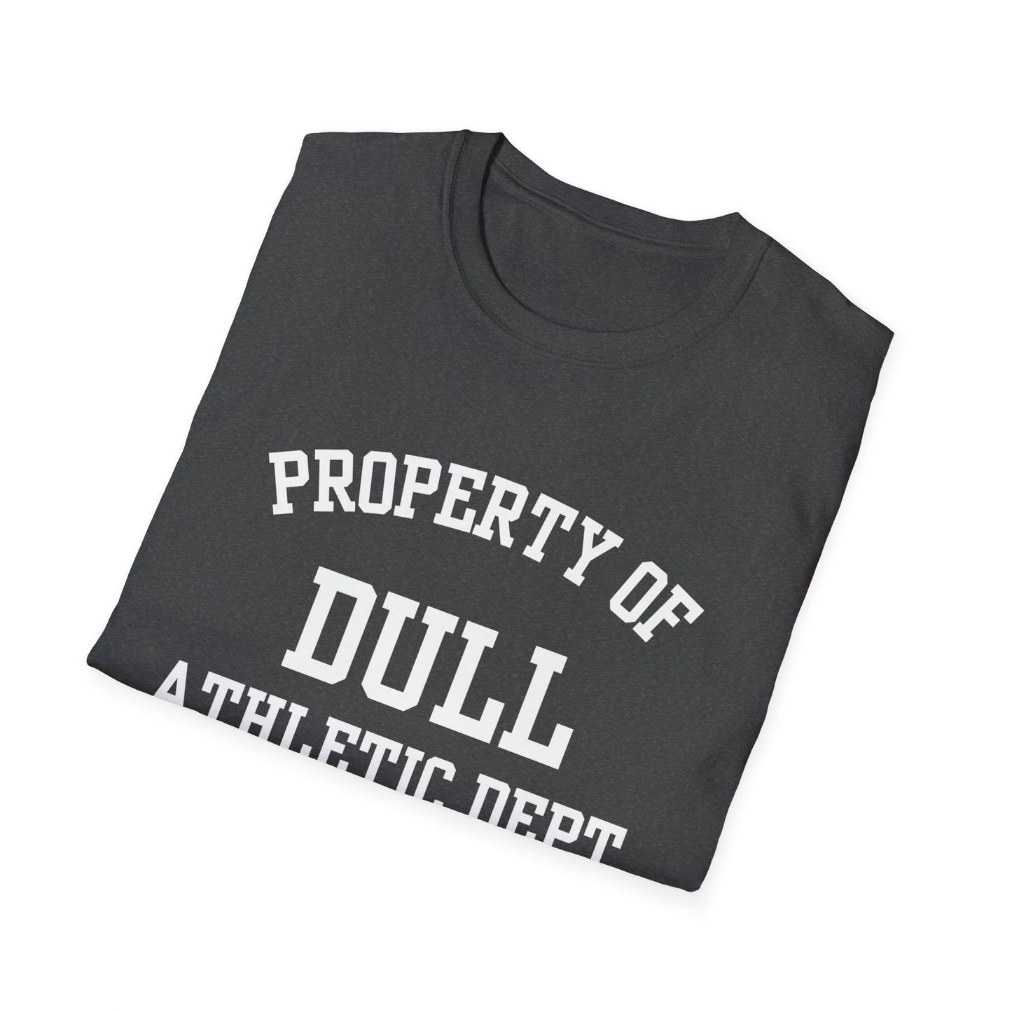 Dull Funny City Name T-Shirt quirky place tee novelty t-shirt custom city tee small town gift sarcastic shirt ironic tee gag gift tee