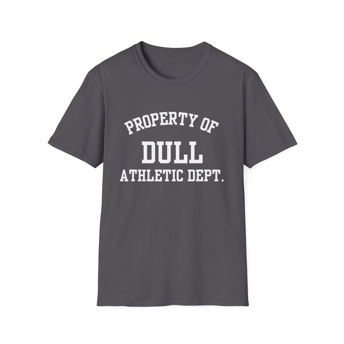 Dull Funny City Name T-Shirt quirky place tee novelty t-shirt custom city tee small town gift sarcastic shirt ironic tee gag gift tee