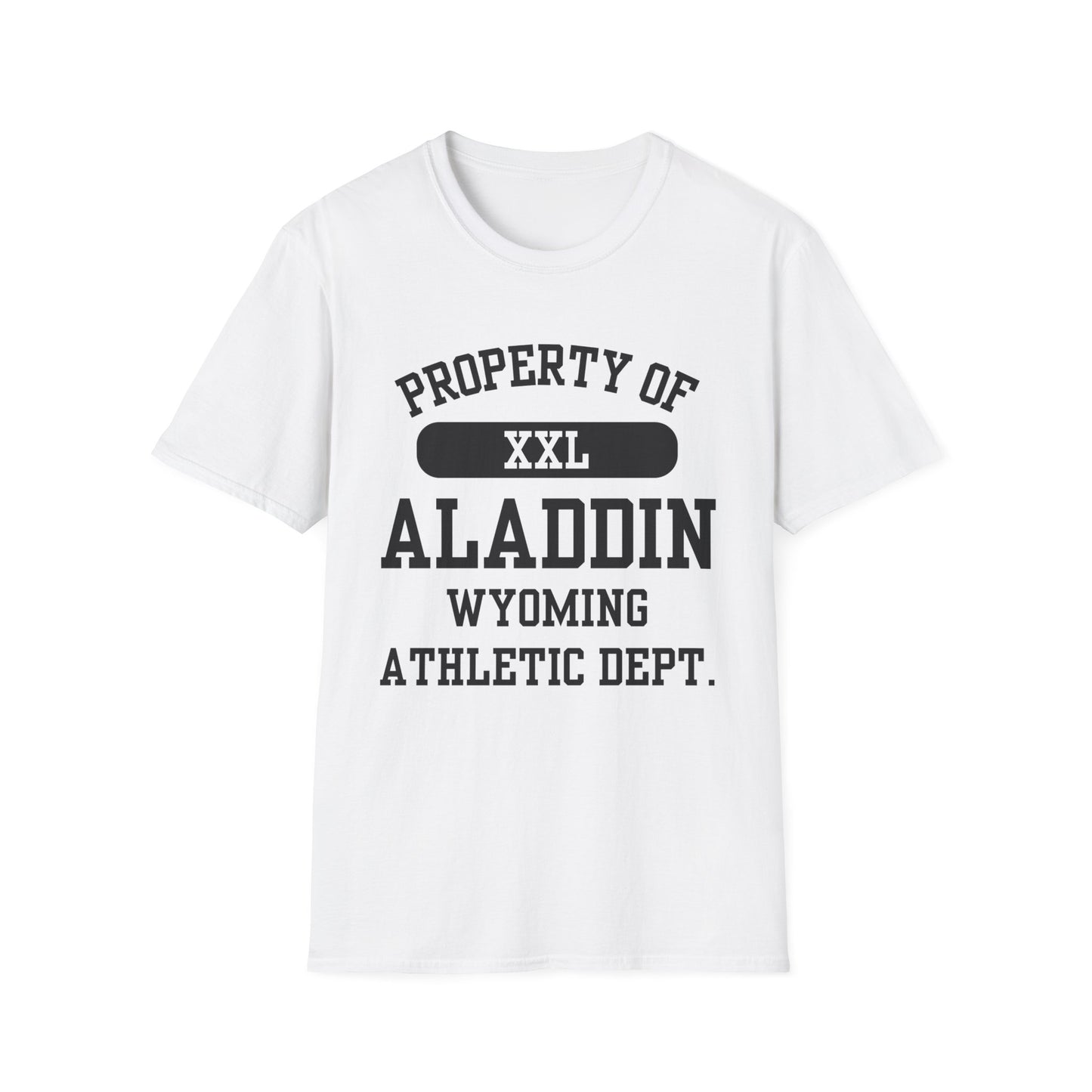 Aladdin Funny City Name T-Shirt retro city name shirt custom city t-shirt funny city name shirt sarcastic graphic tee unisex funny shirt