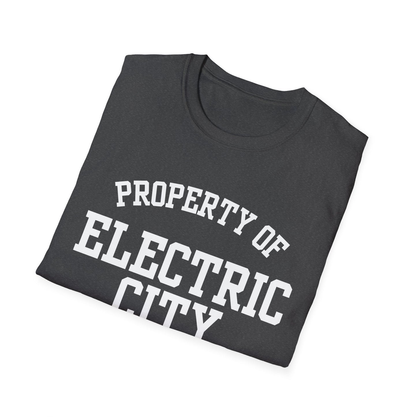 Electric City Funny City Name T-Shirt local pride tee travel gift tee silly town tee small town gift ironic tee custom city tee funny city name