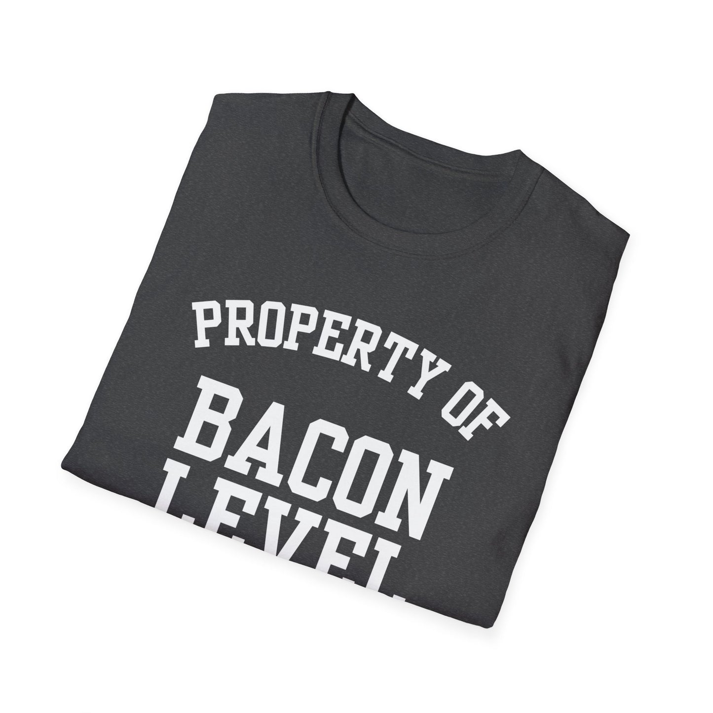 Bacon Level Funny City Name T-Shirt ironic tee quirky place tee local pride tee travel gift tee hometown humor novelty t-shirt small town gift