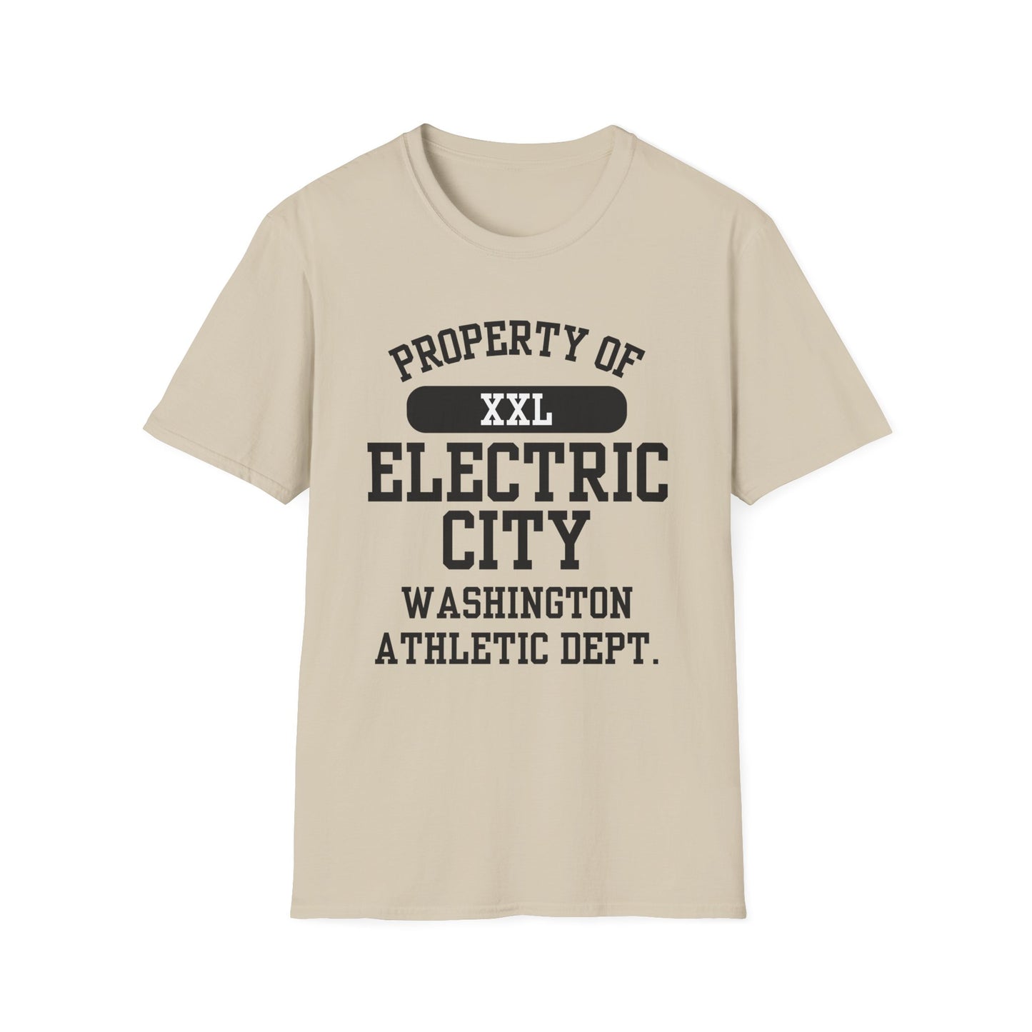 Electric City Funny City Name T-Shirt unisex funny shirt road trip souvenir shirt custom city t-shirt quirky town shirt sarcastic graphic tee