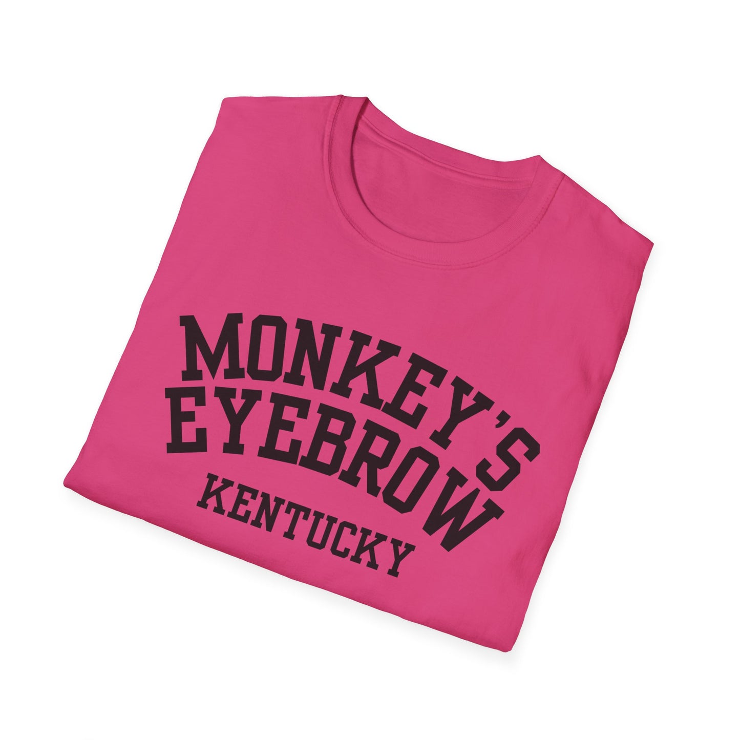 Monkey's Eyebrow Funny City Name T-Shirt quirky town shirt retro city name shirt unisex funny shirt funny city name shirt sarcastic graphic tee