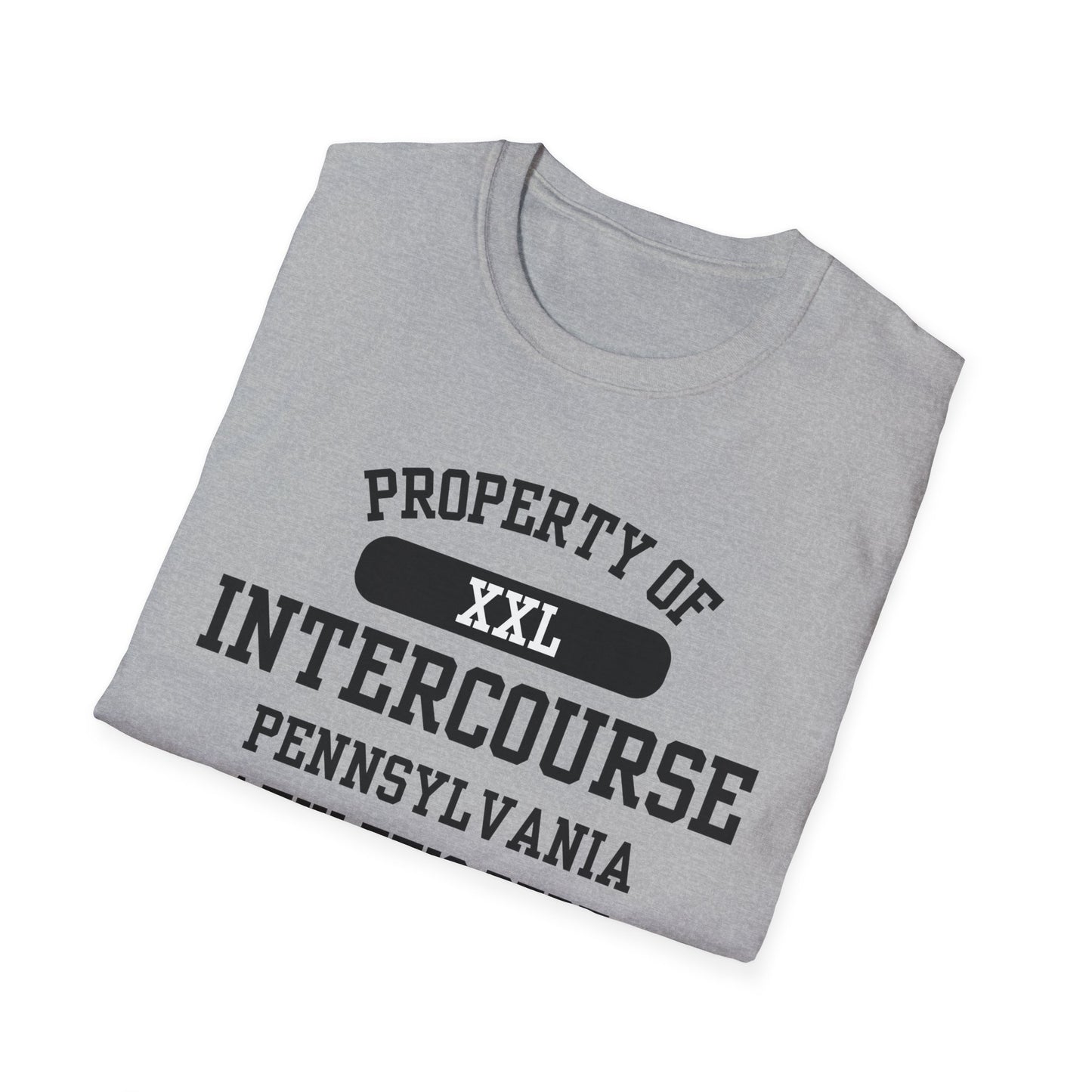 Intercourse Funny City Name T-Shirt sarcastic shirt funny city name local pride tee travel gift tee weird town shirt small town gift