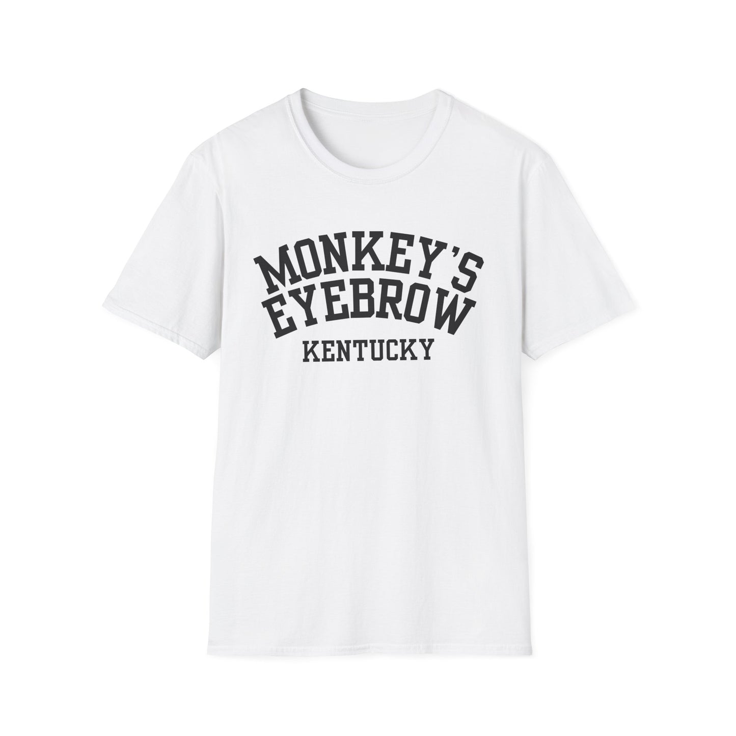 Monkey's Eyebrow Funny City Name T-Shirt quirky town shirt retro city name shirt unisex funny shirt funny city name shirt sarcastic graphic tee