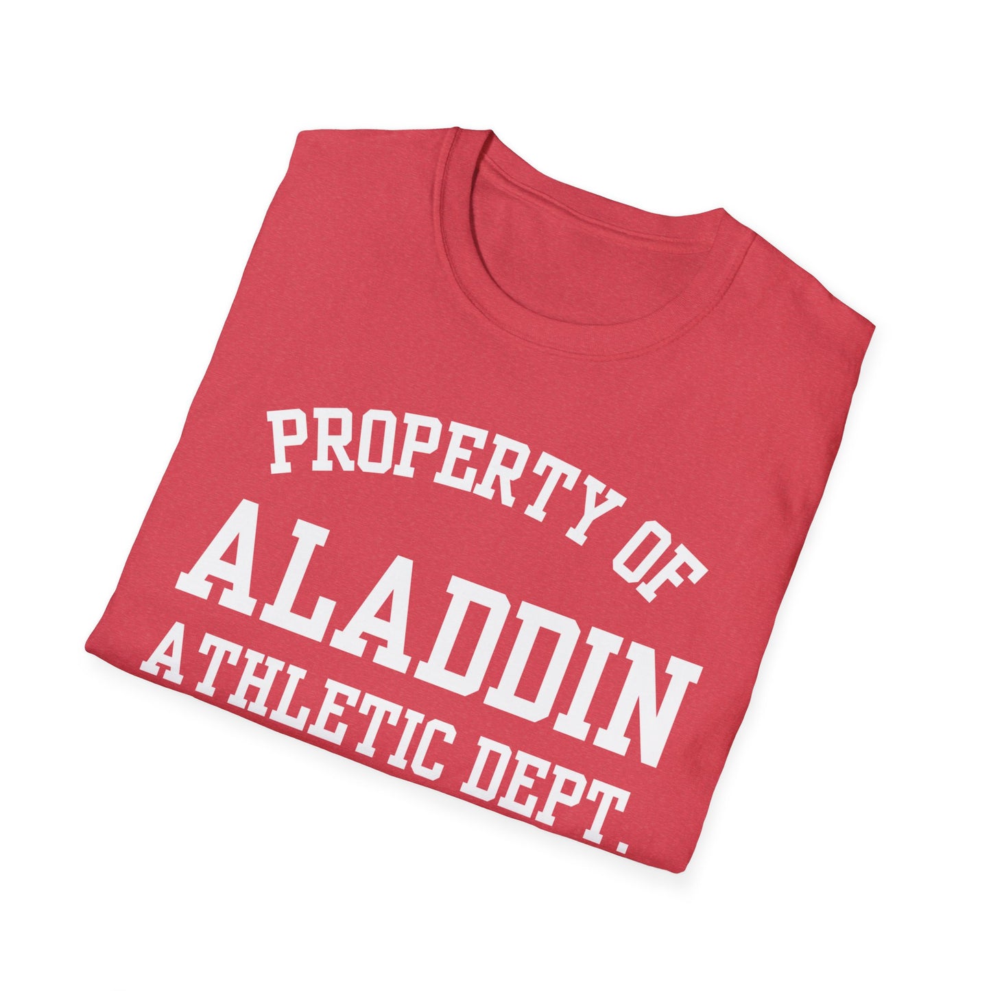 Aladdin Funny City Name T-Shirt novelty t-shirt local pride tee silly town tee custom city tee travel gift tee ironic tee quirky place tee