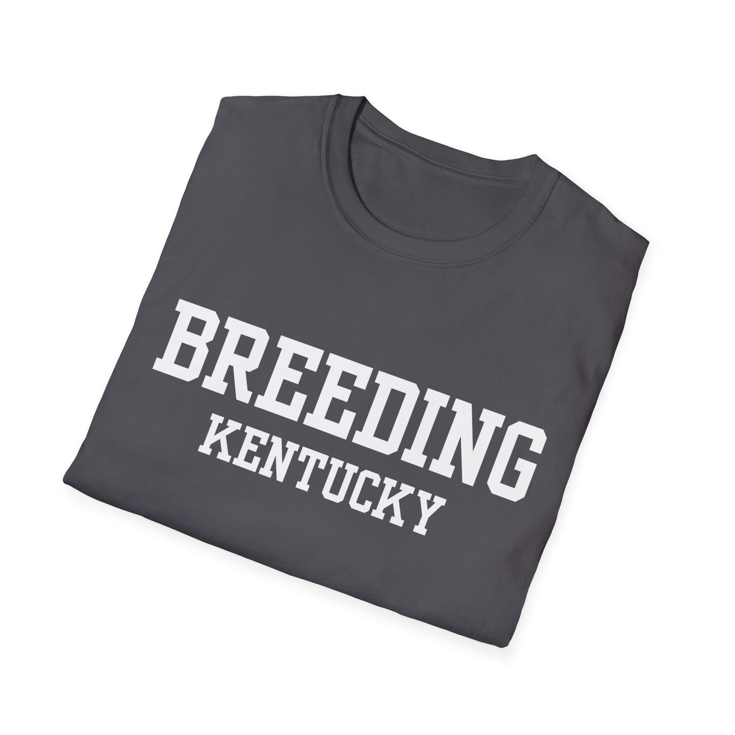 Breeding Funny City Name T-Shirt travel gift tee weird town shirt sarcastic shirt small town gift funny city name silly town tee