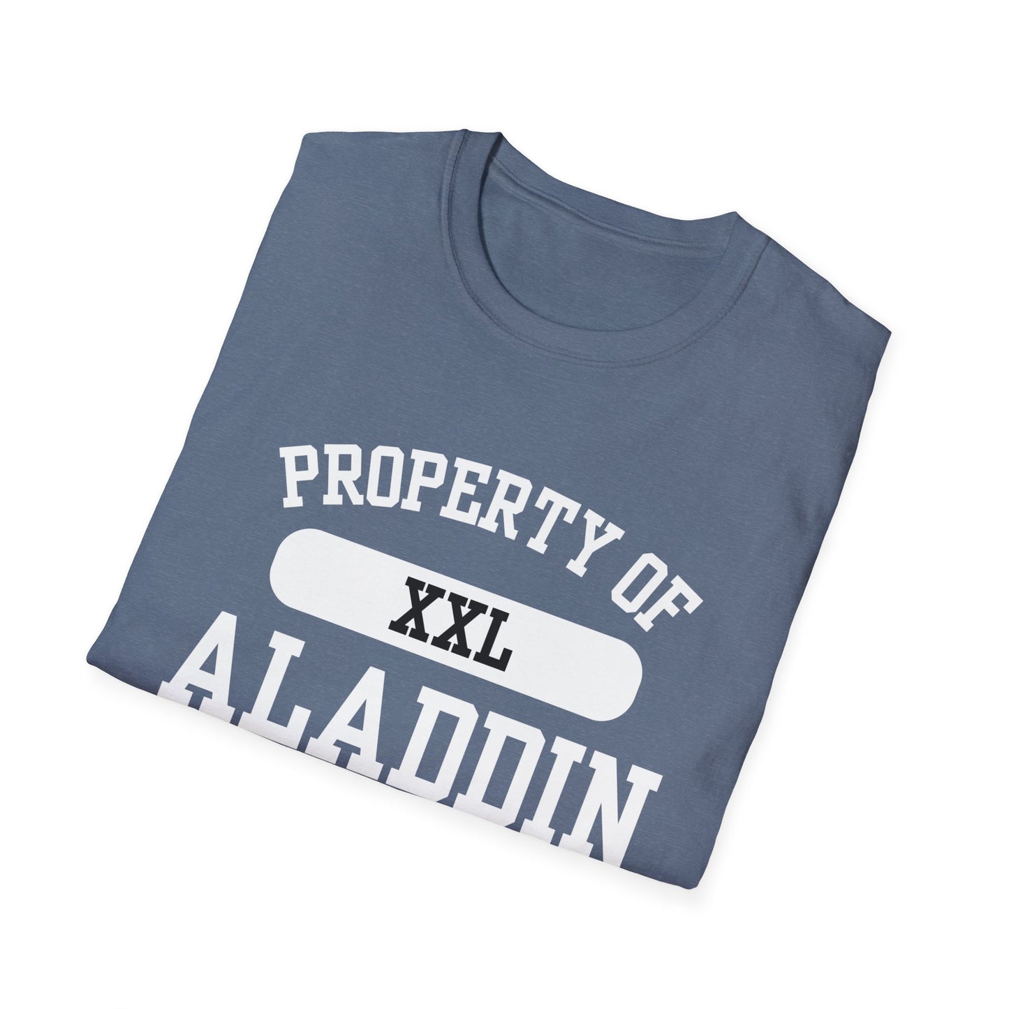 Aladdin Funny City Name T-Shirt ironic tee silly town tee quirky place tee sarcastic shirt travel gift tee funny city name custom city tee