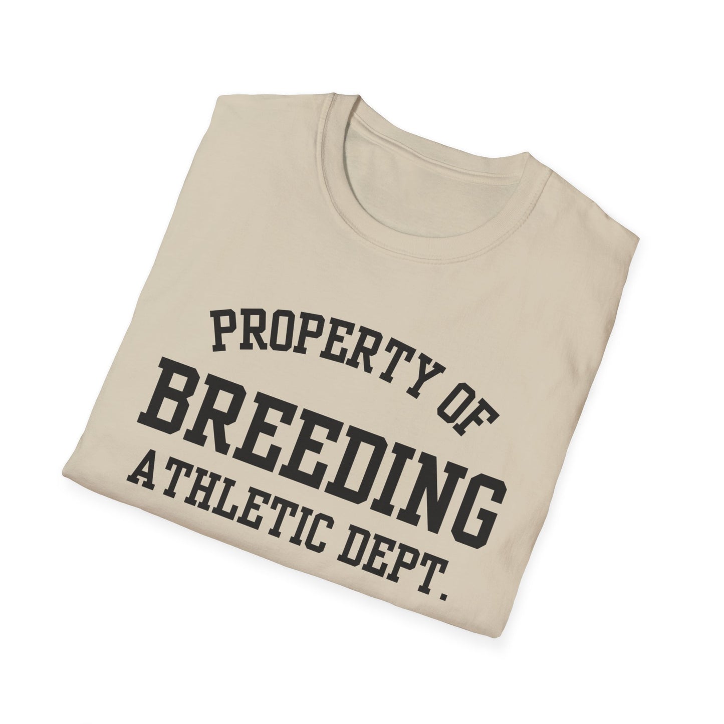 Breeding Funny City Name T-Shirt novelty t-shirt for adults gift for travelers road trip souvenir shirt funny city name shirt hometown pride shirt