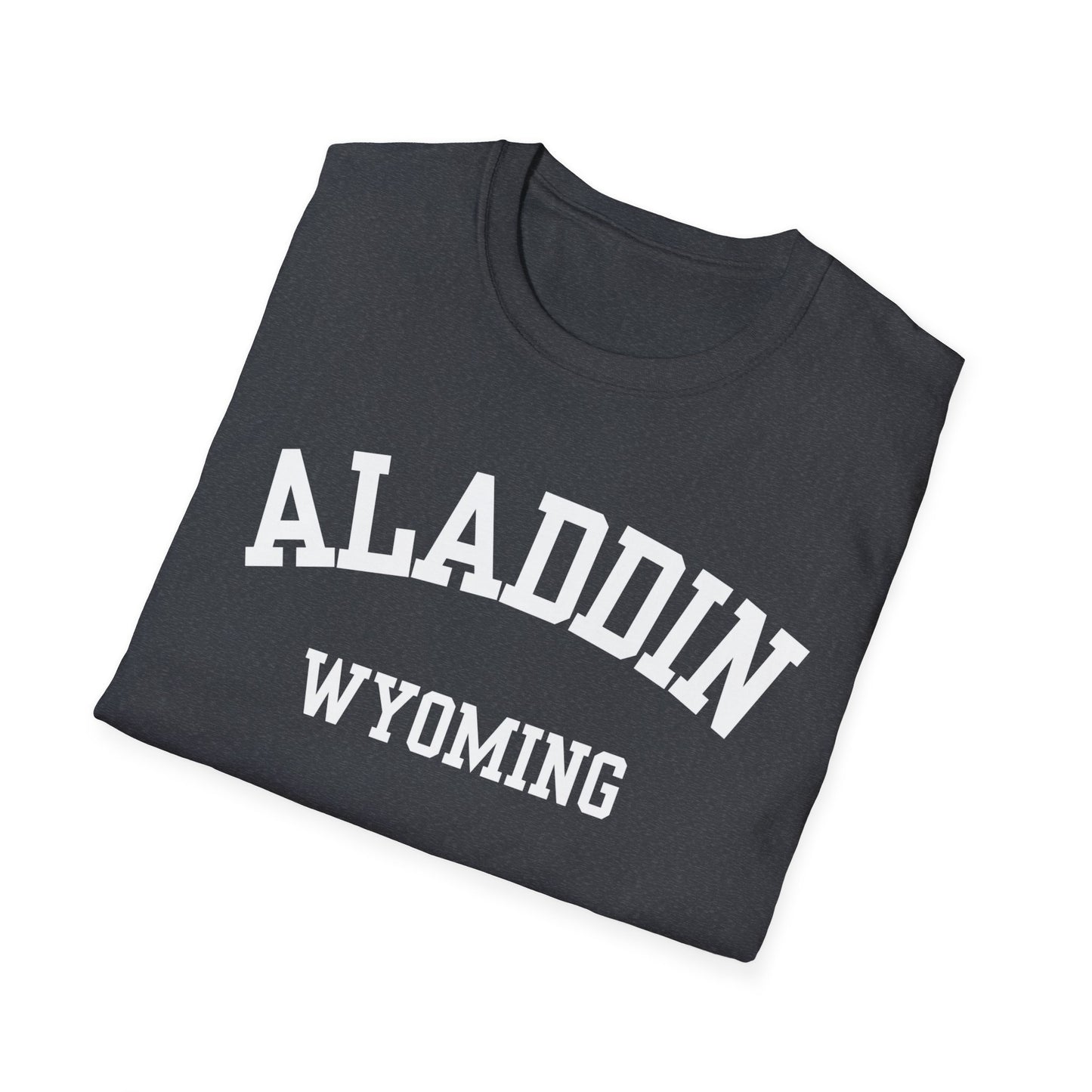 Aladdin Funny City Name T-Shirt weird town shirt silly town tee quirky place tee custom city tee sarcastic shirt travel gift tee
