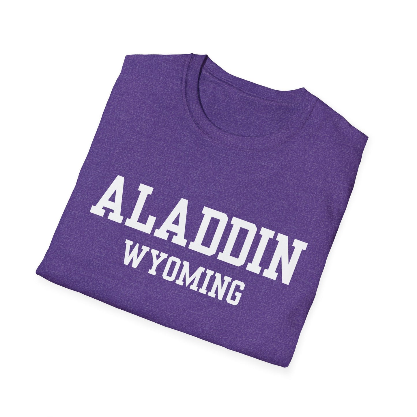 Aladdin Funny City Name T-Shirt silly town tee small town gift hometown humor novelty t-shirt gag gift tee travel gift tee weird town shirt