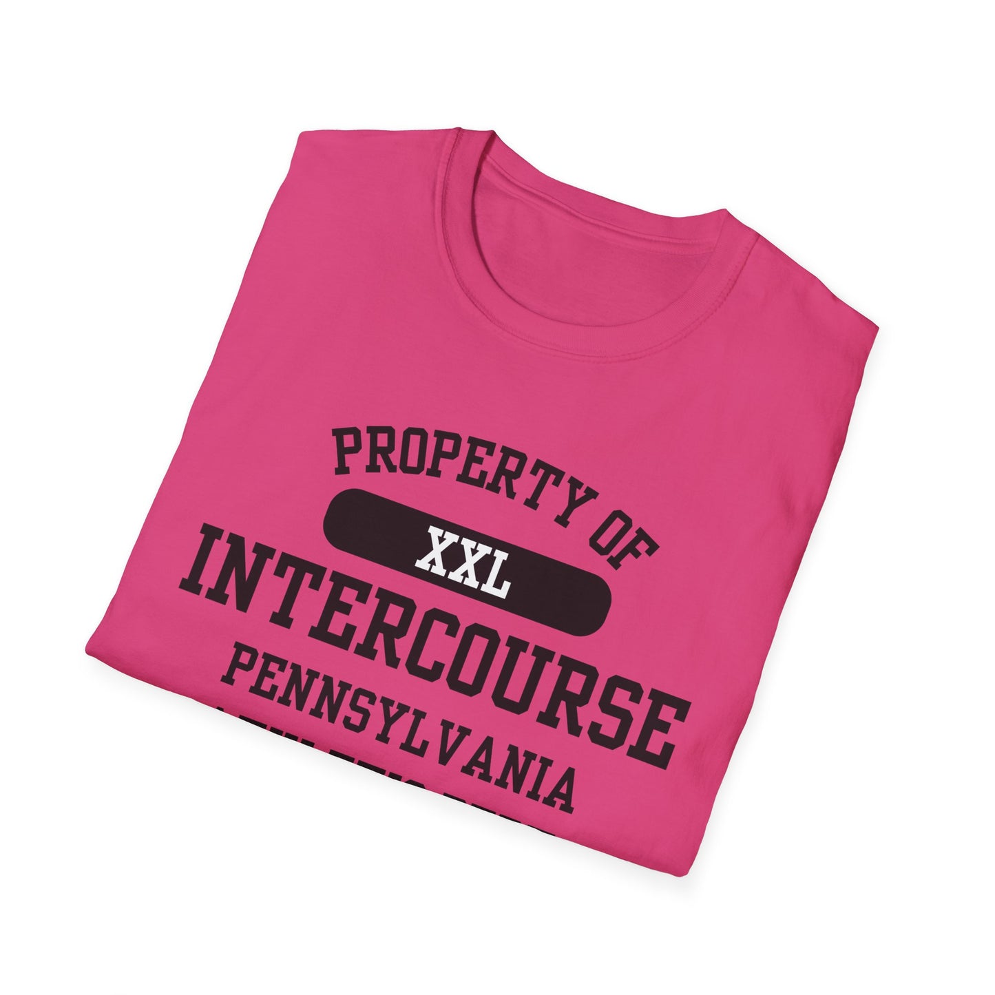 Intercourse Funny City Name T-Shirt sarcastic shirt funny city name local pride tee travel gift tee weird town shirt small town gift