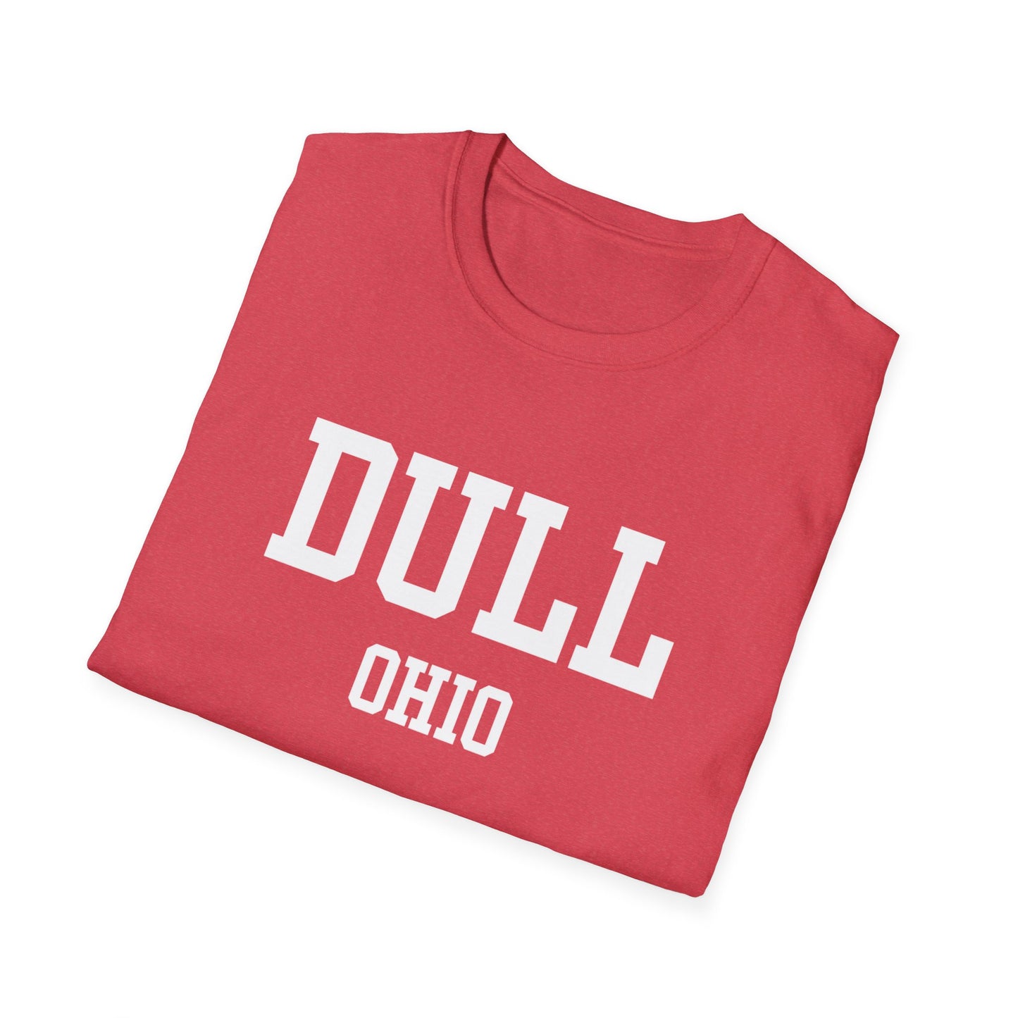 Dull Funny City Name T-Shirt small town gift ironic tee gag gift tee quirky place tee travel gift tee funny city name sarcastic shirt