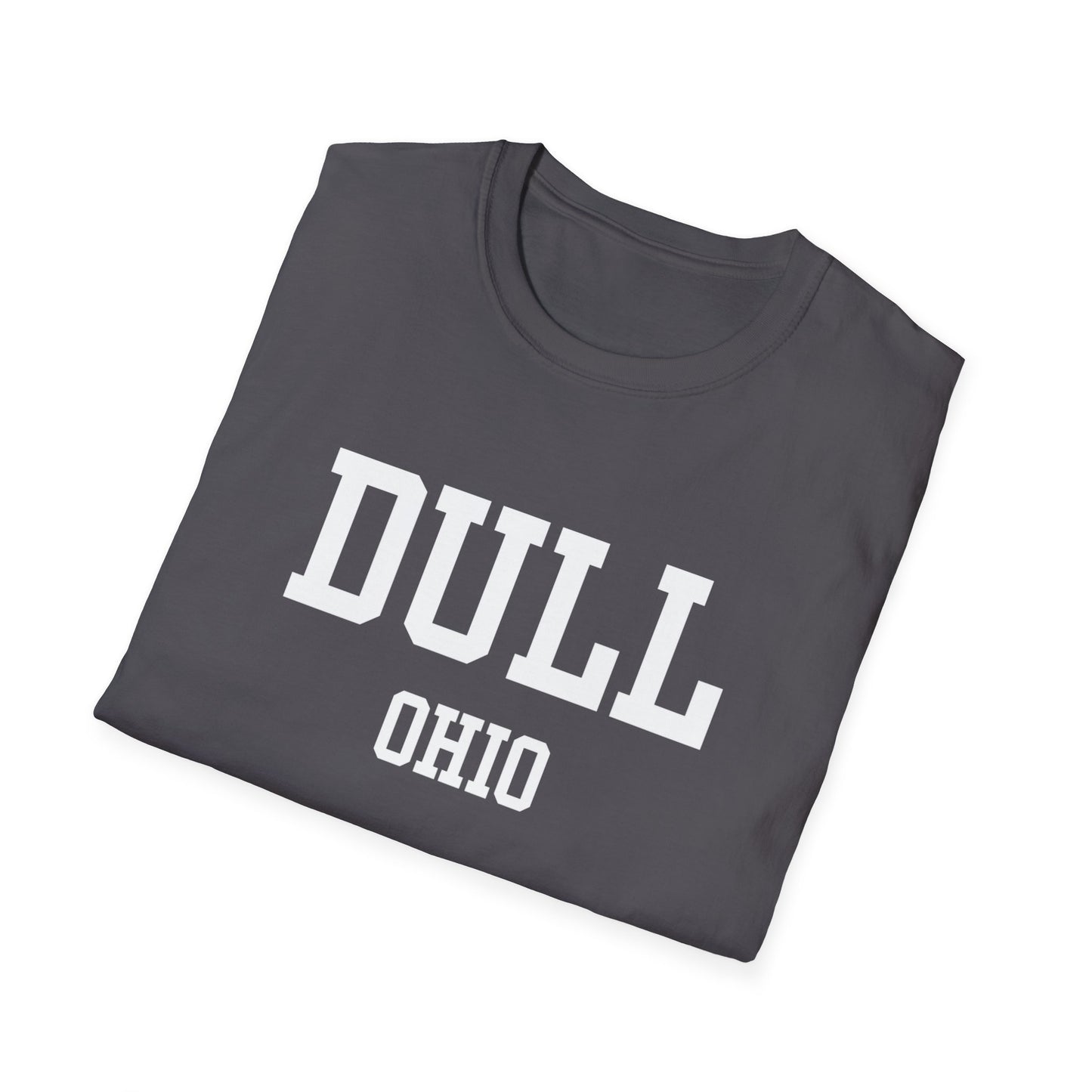 Dull Funny City Name T-Shirt small town gift ironic tee gag gift tee quirky place tee travel gift tee funny city name sarcastic shirt