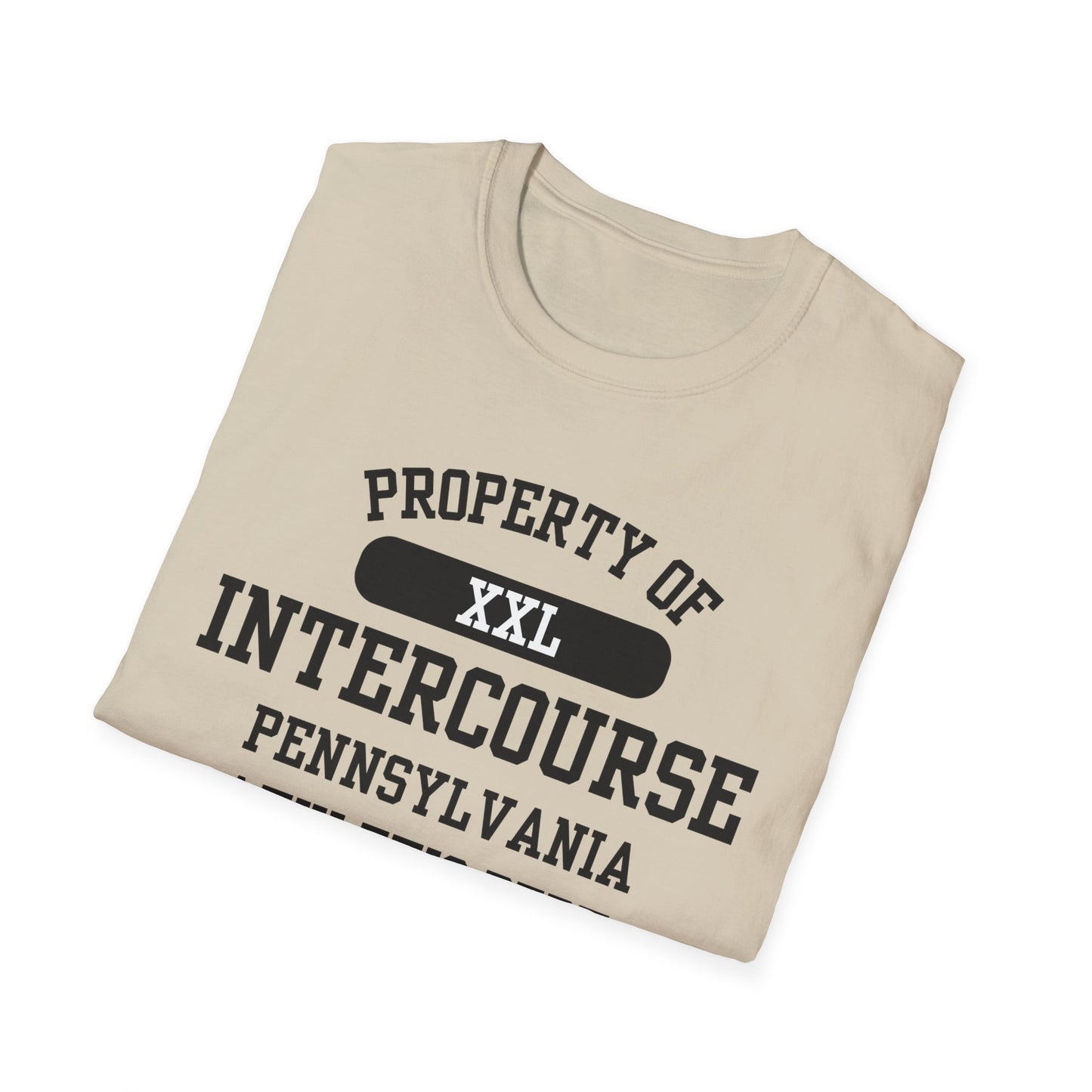 Intercourse Funny City Name T-Shirt sarcastic shirt funny city name local pride tee travel gift tee weird town shirt small town gift