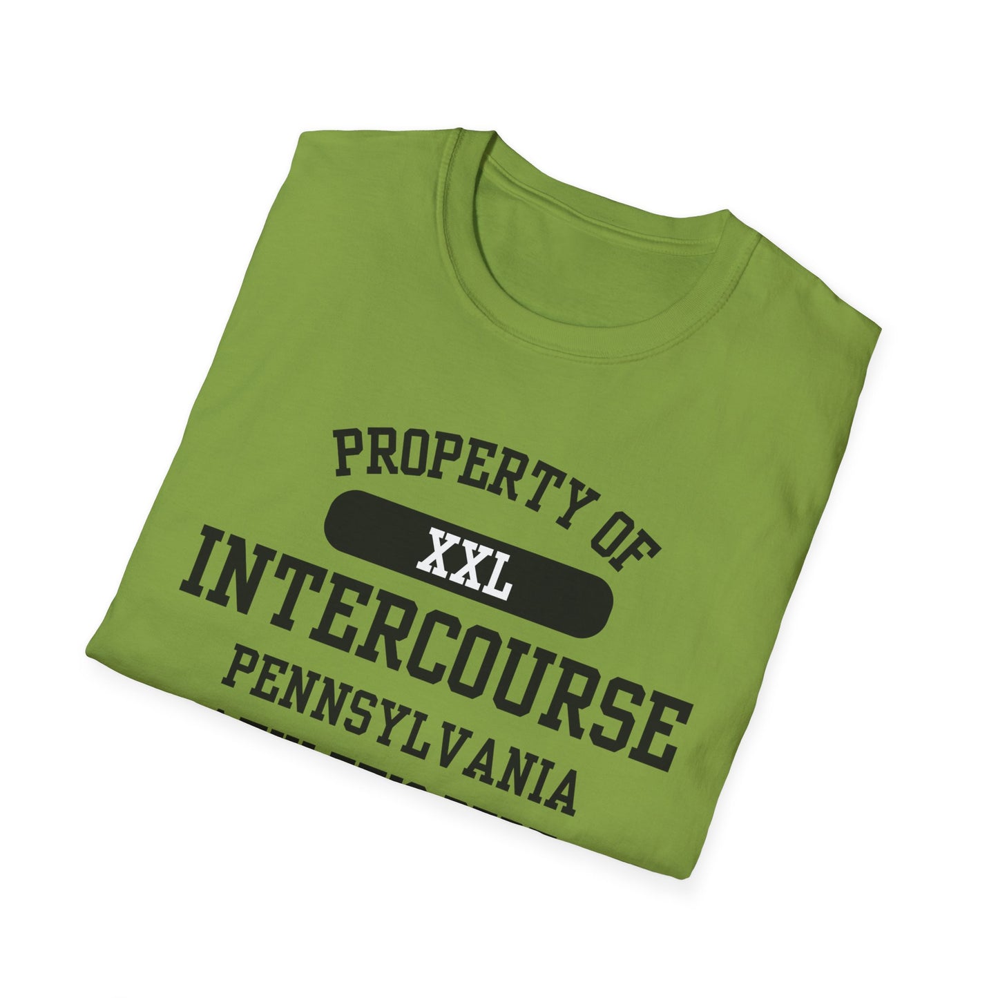 Intercourse Funny City Name T-Shirt sarcastic shirt funny city name local pride tee travel gift tee weird town shirt small town gift