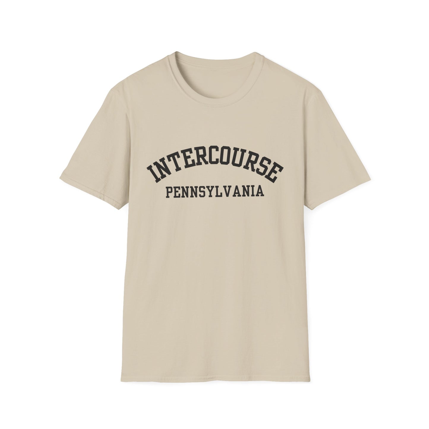 Intercourse Funny City Name T-Shirt novelty t-shirt for adults gift for travelers quirky town shirt funny city name shirt hometown pride shirt