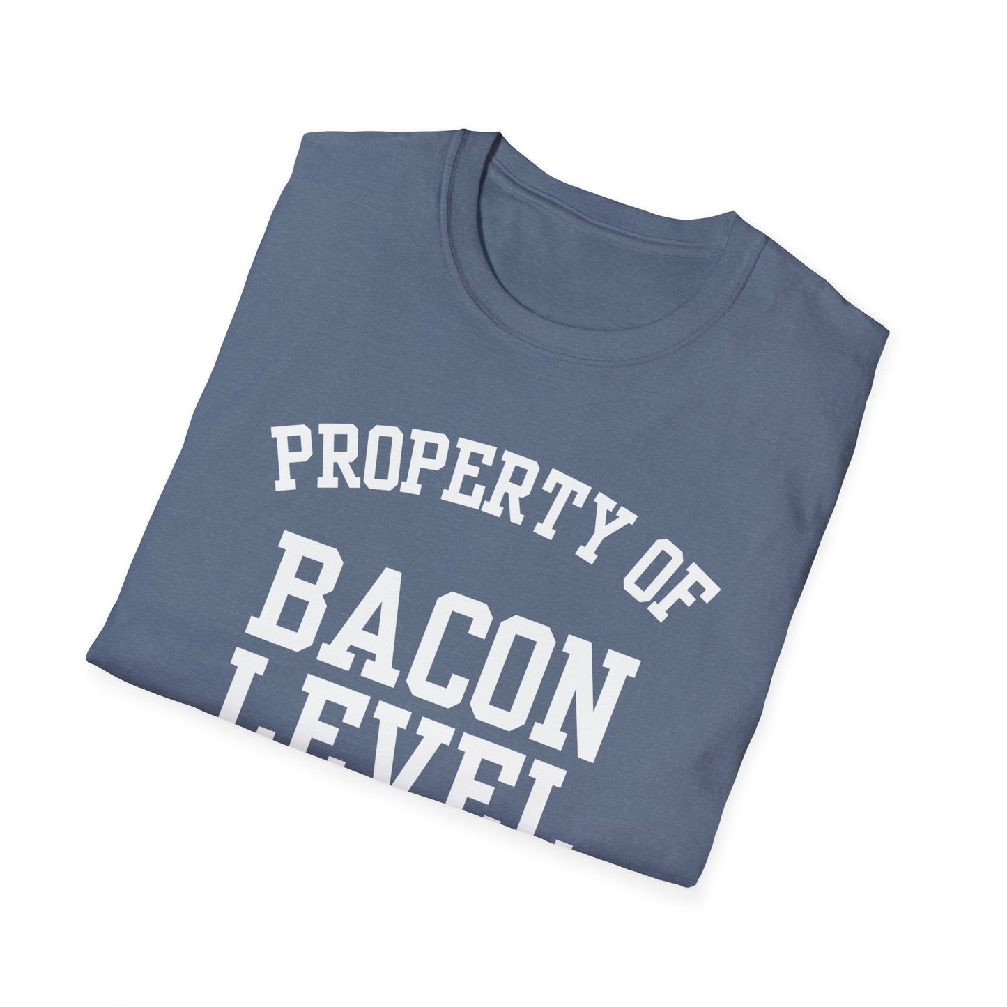 Bacon Level Funny City Name T-Shirt ironic tee quirky place tee local pride tee travel gift tee hometown humor novelty t-shirt small town gift