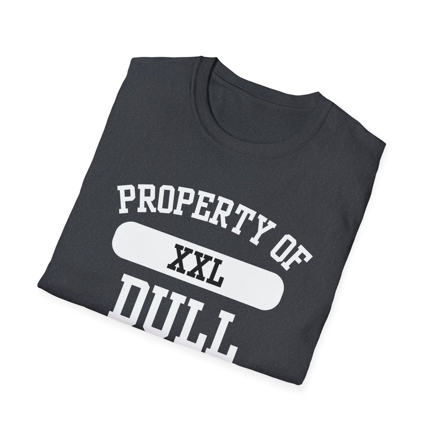 Dull Funny City Name T-Shirt ironic tee novelty t-shirt gag gift tee hometown humor silly town tee small town gift weird town shirt