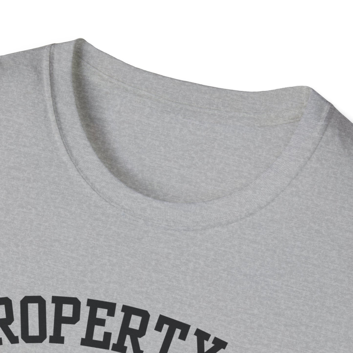 Dull Funny City Name T-Shirt novelty t-shirt sarcastic shirt local pride tee small town gift ironic tee hometown humor quirky place tee